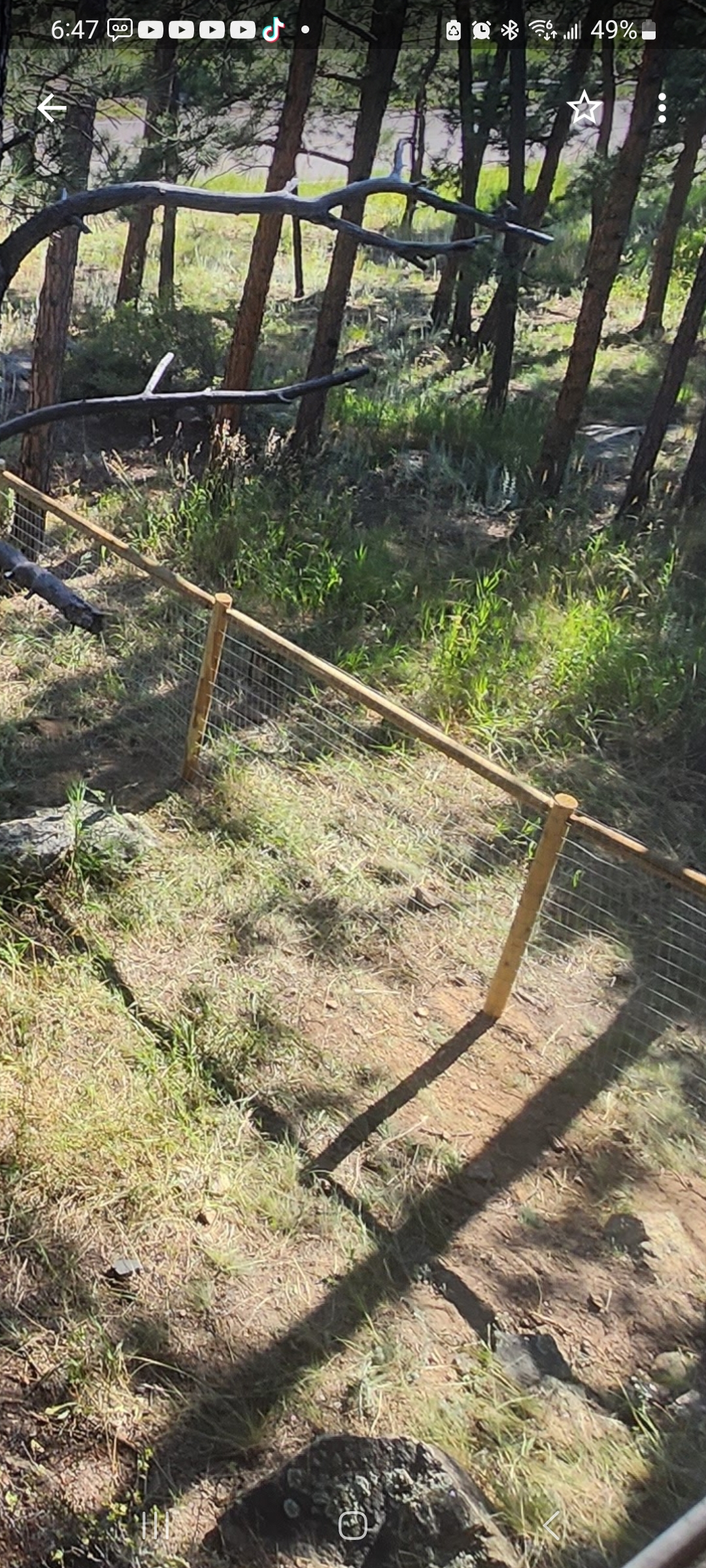 Burrfect Fencing   's image