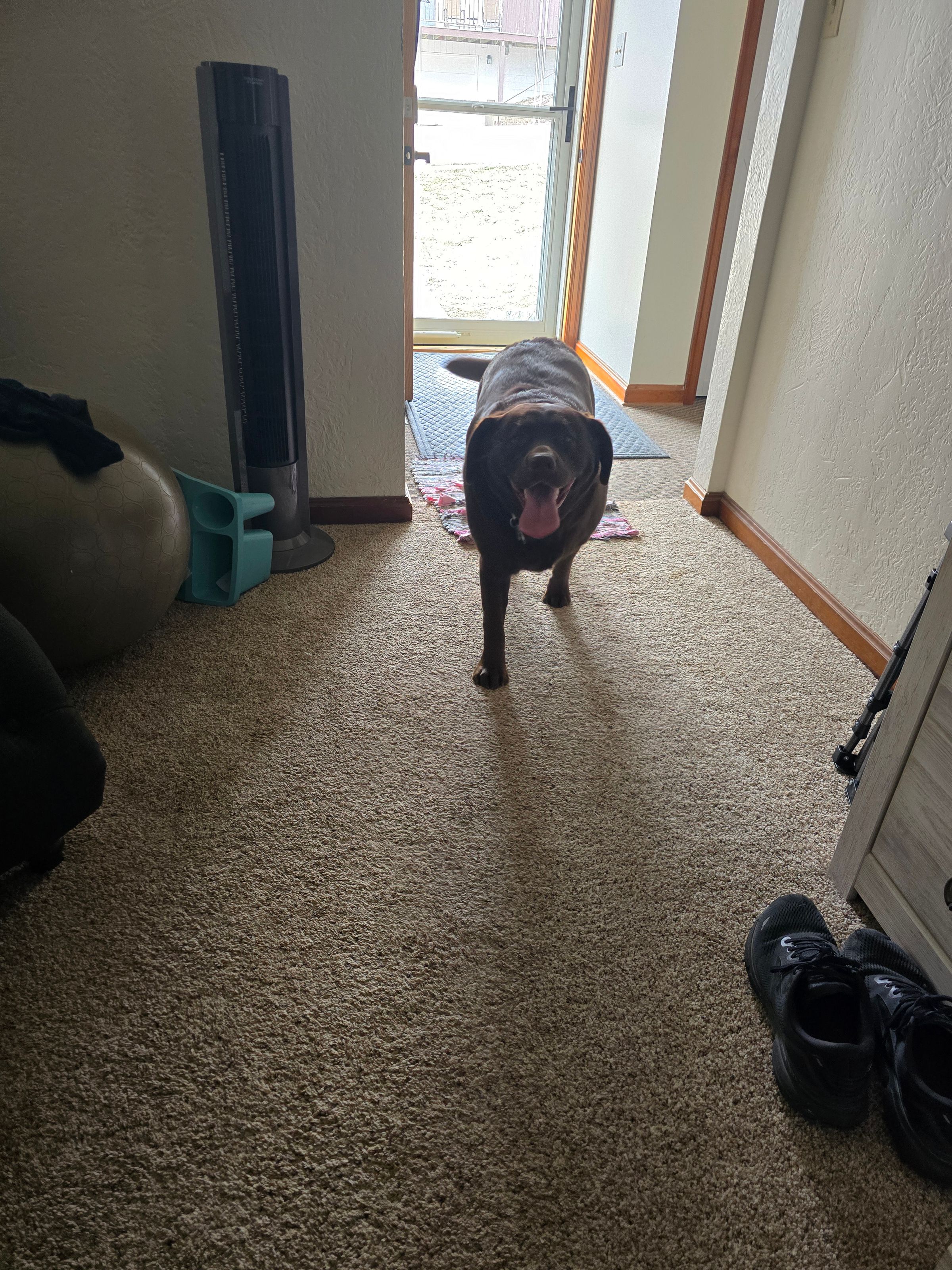 Missy
