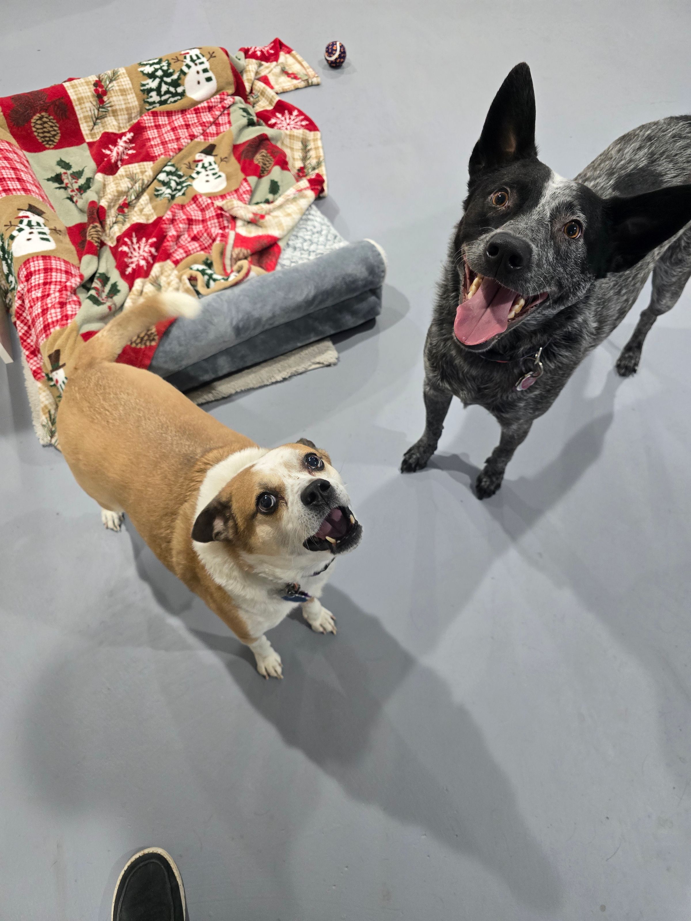 Linda Scott Vonderlage avatar