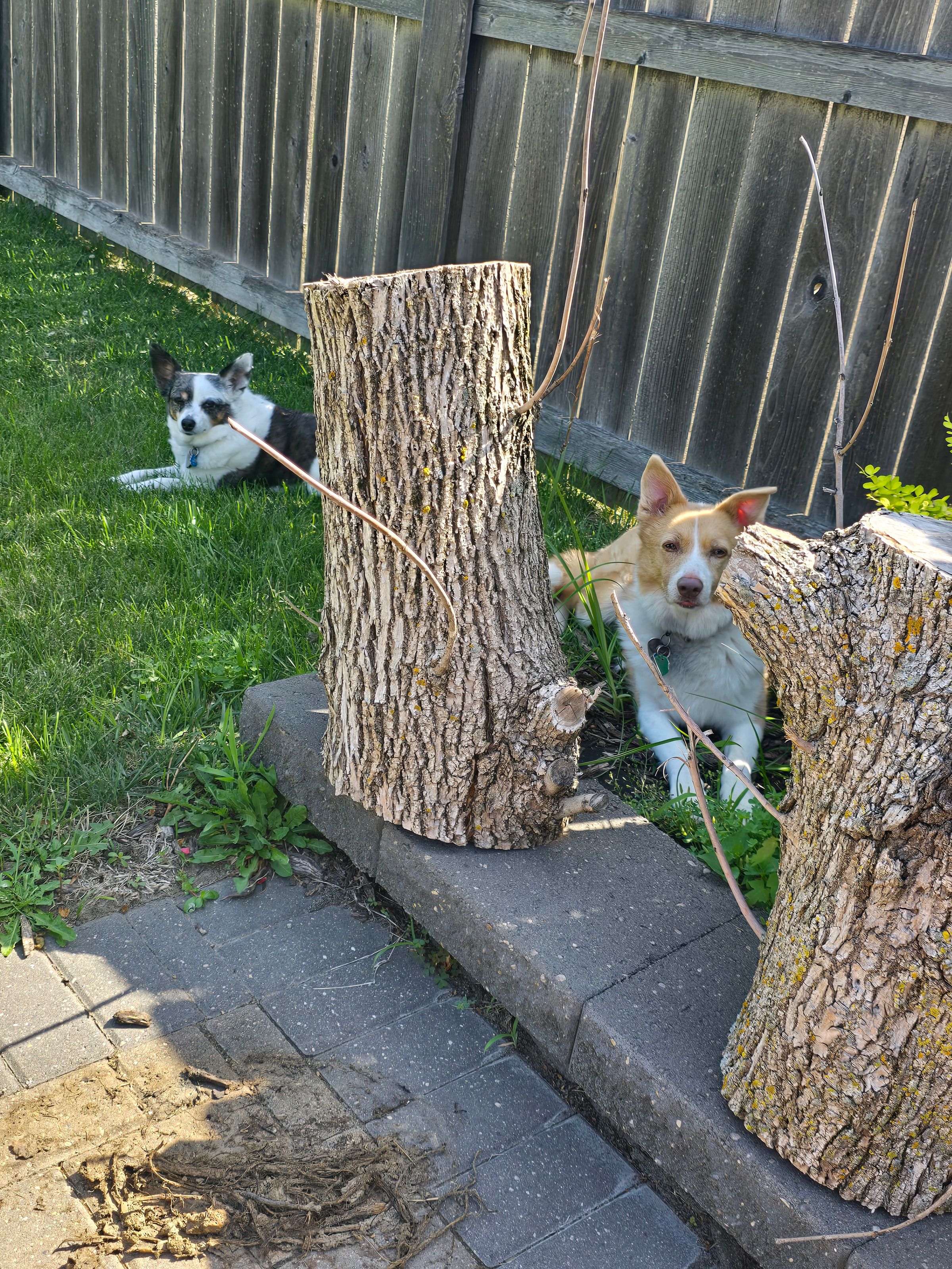 Kenzie Rotolo avatar