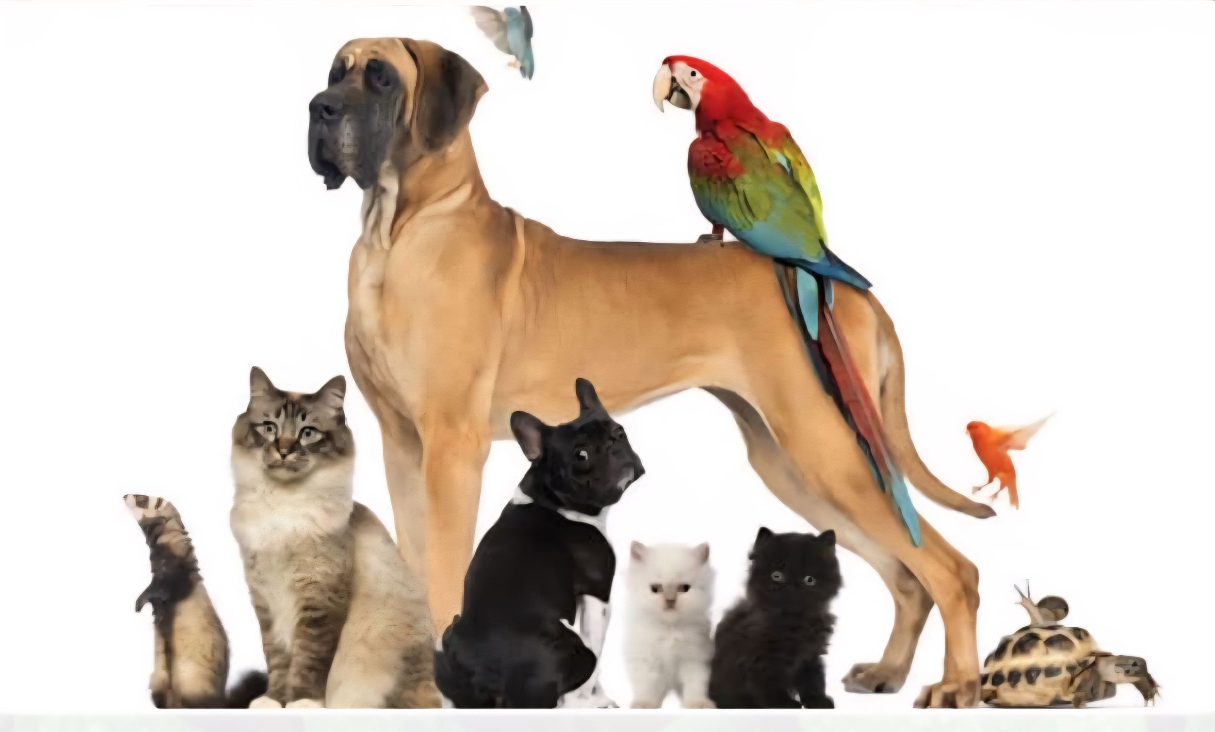 Bethany Clark    8/2024 avatar