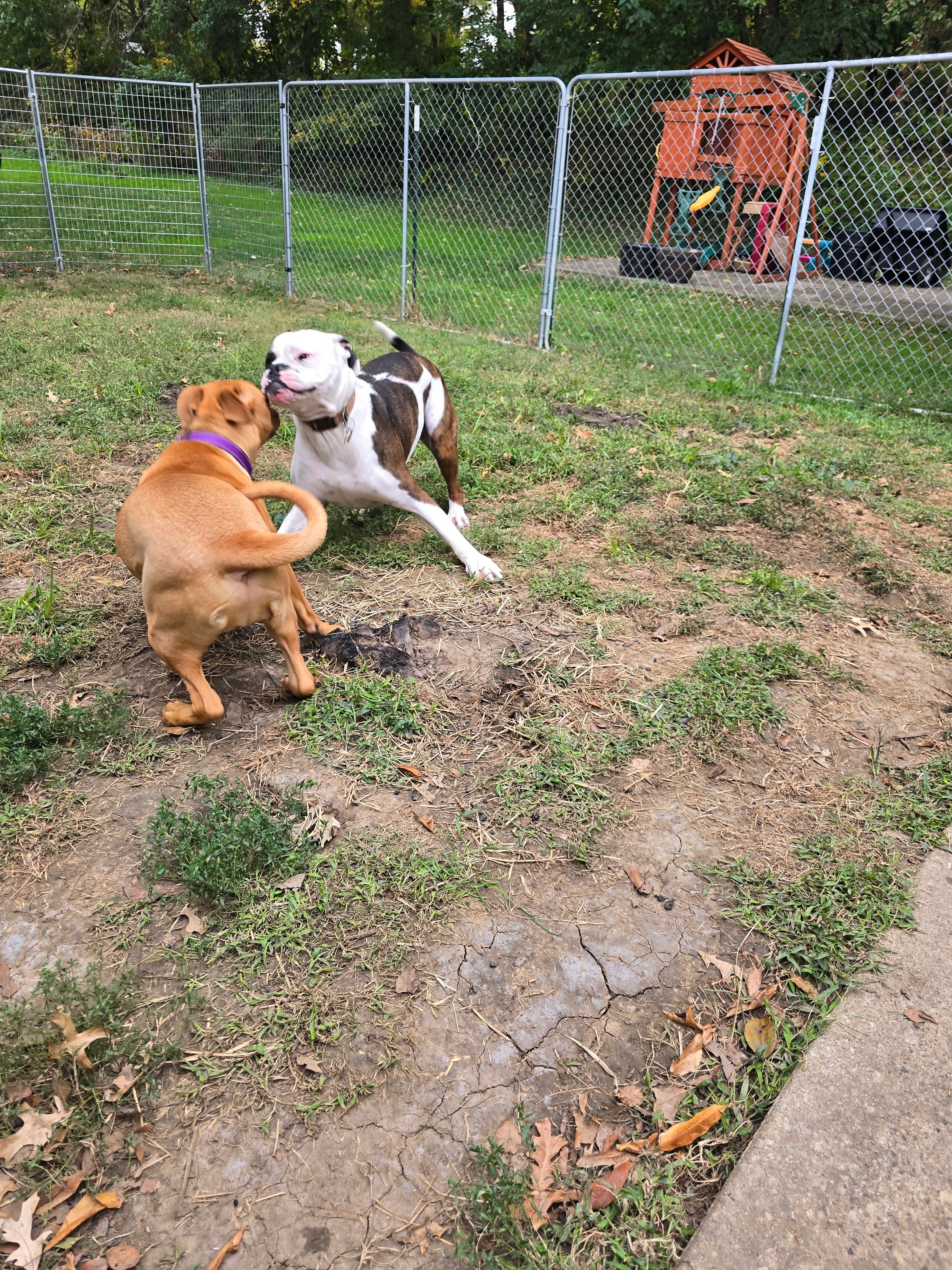 Larry & Turner - Playing