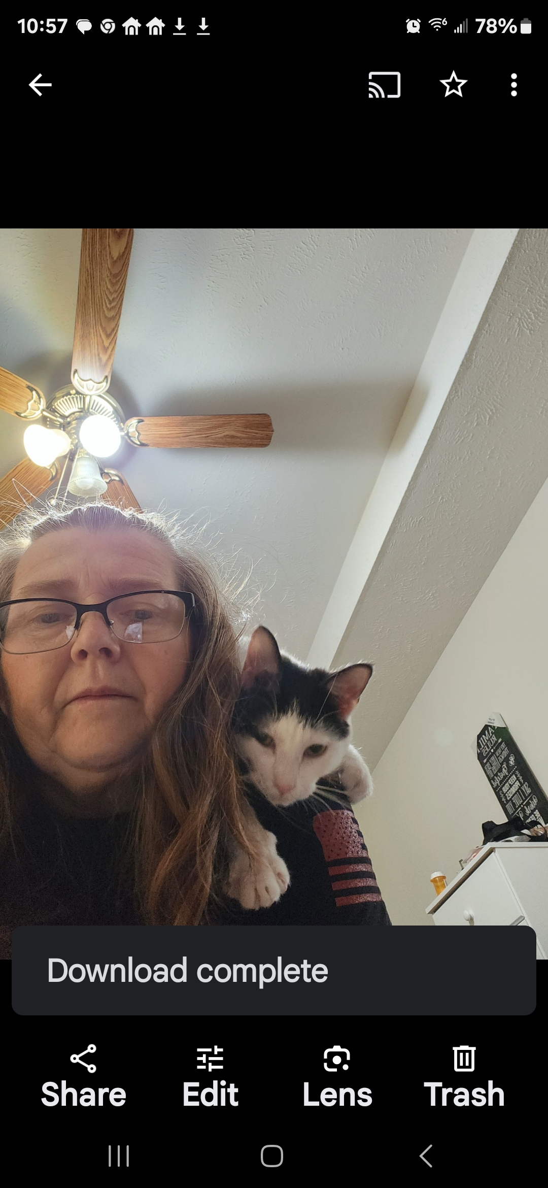 Cat Sitting