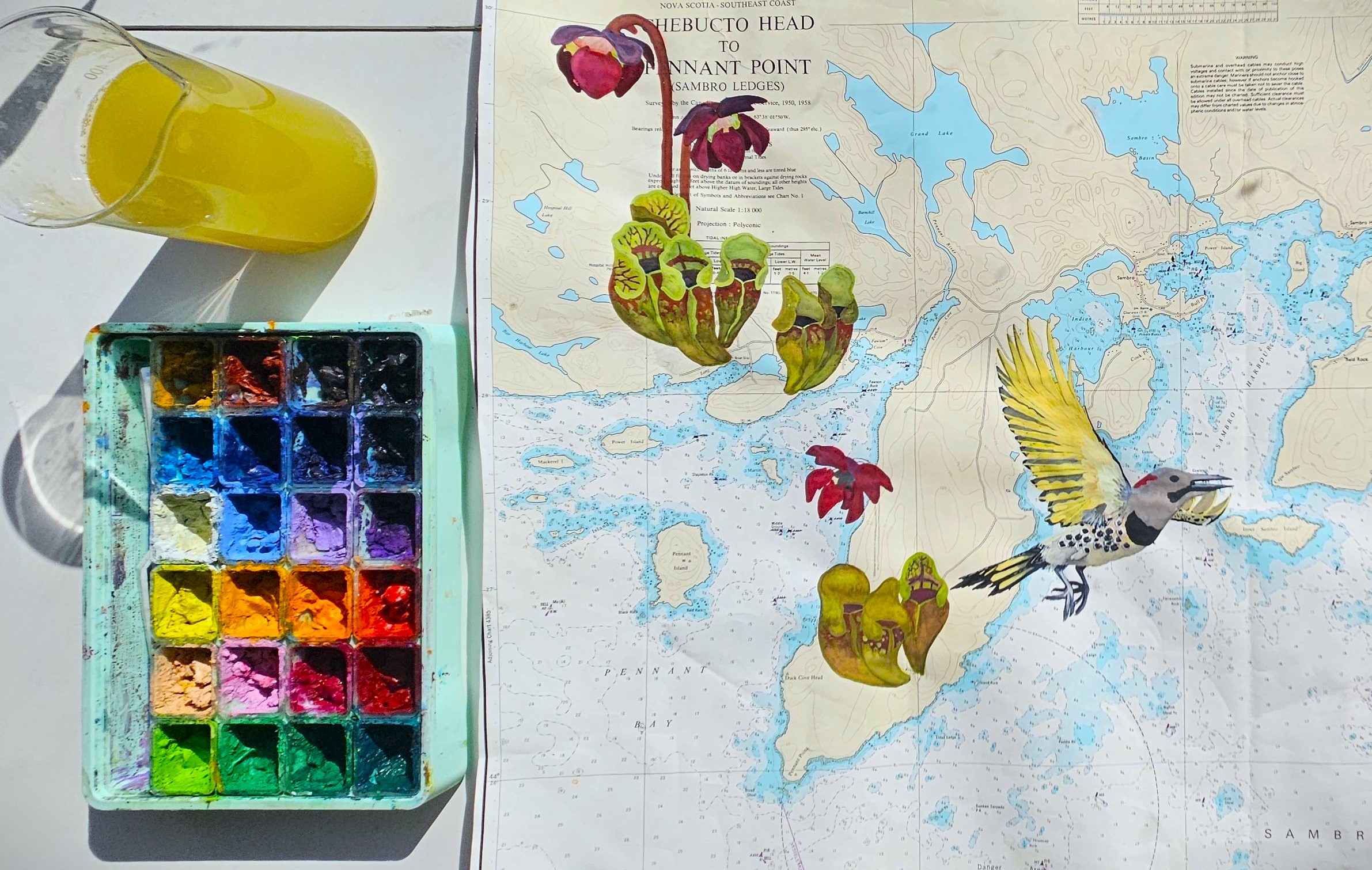 Moonstate Studio's image