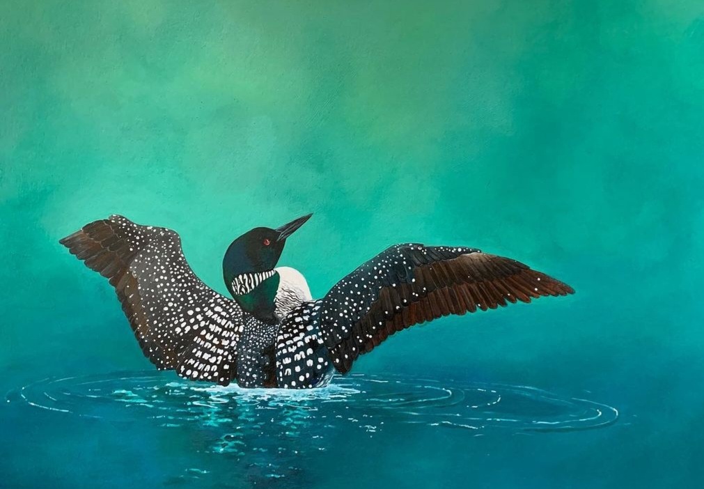 Misty Morning Common Loon