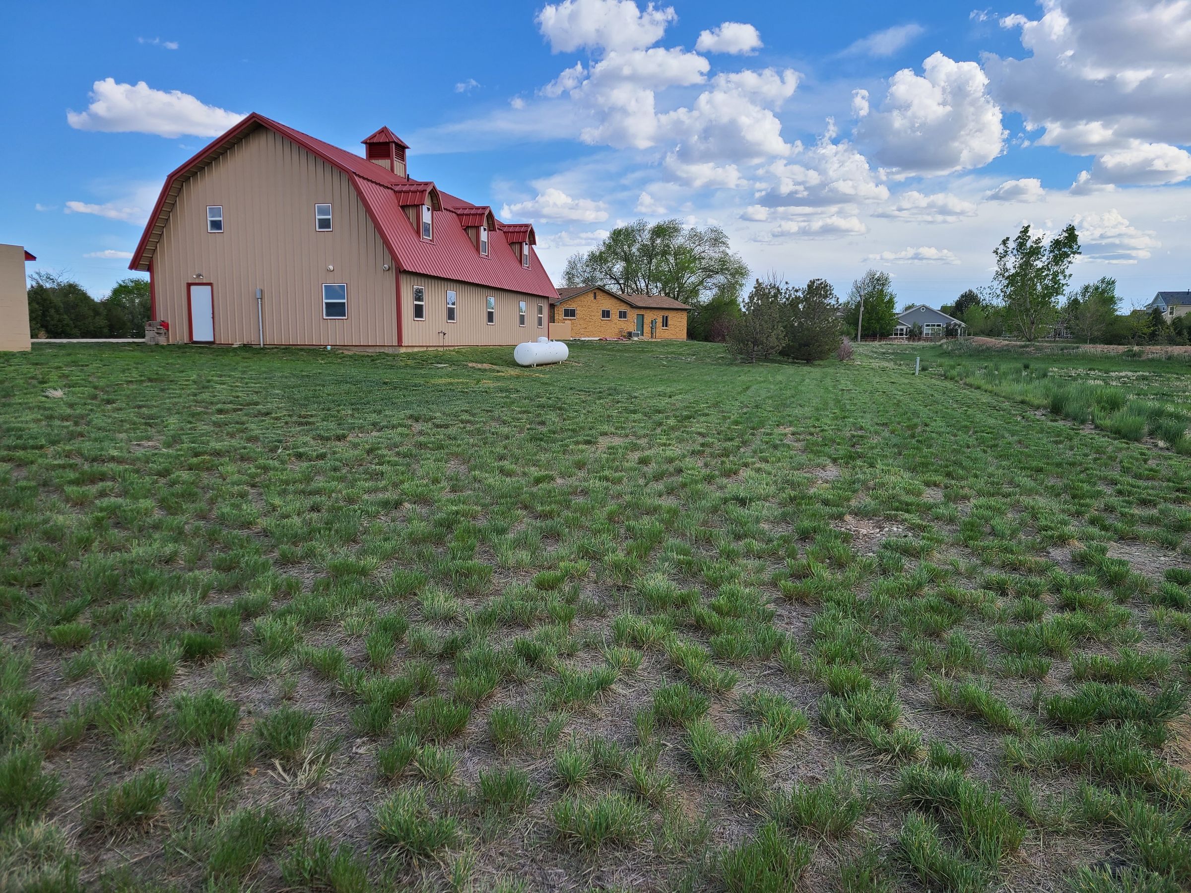 Bros That Mow Landscaping, LLC.303-931-5506's image