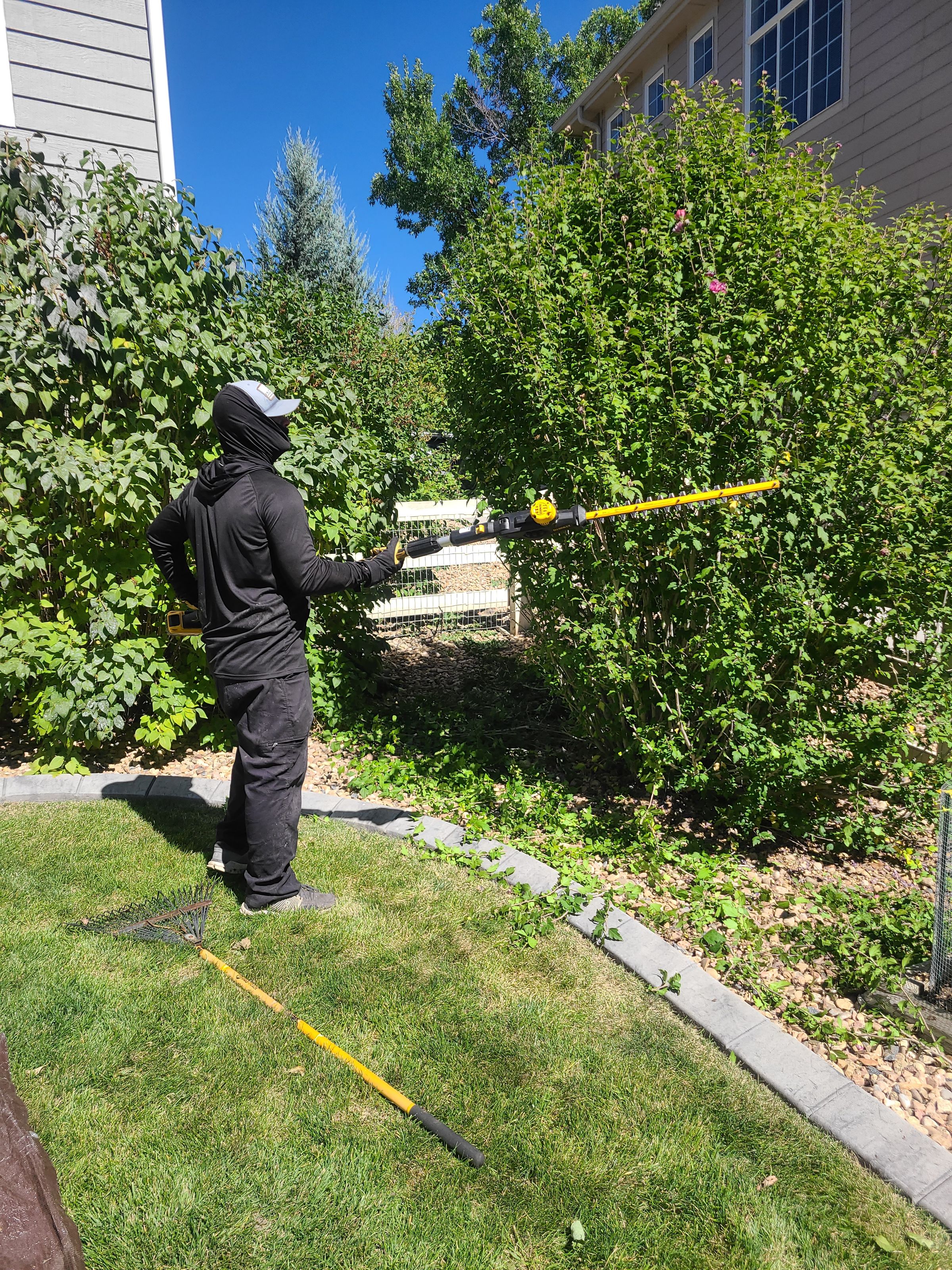 Bros That Mow Landscaping, LLC.303-931-5506's image