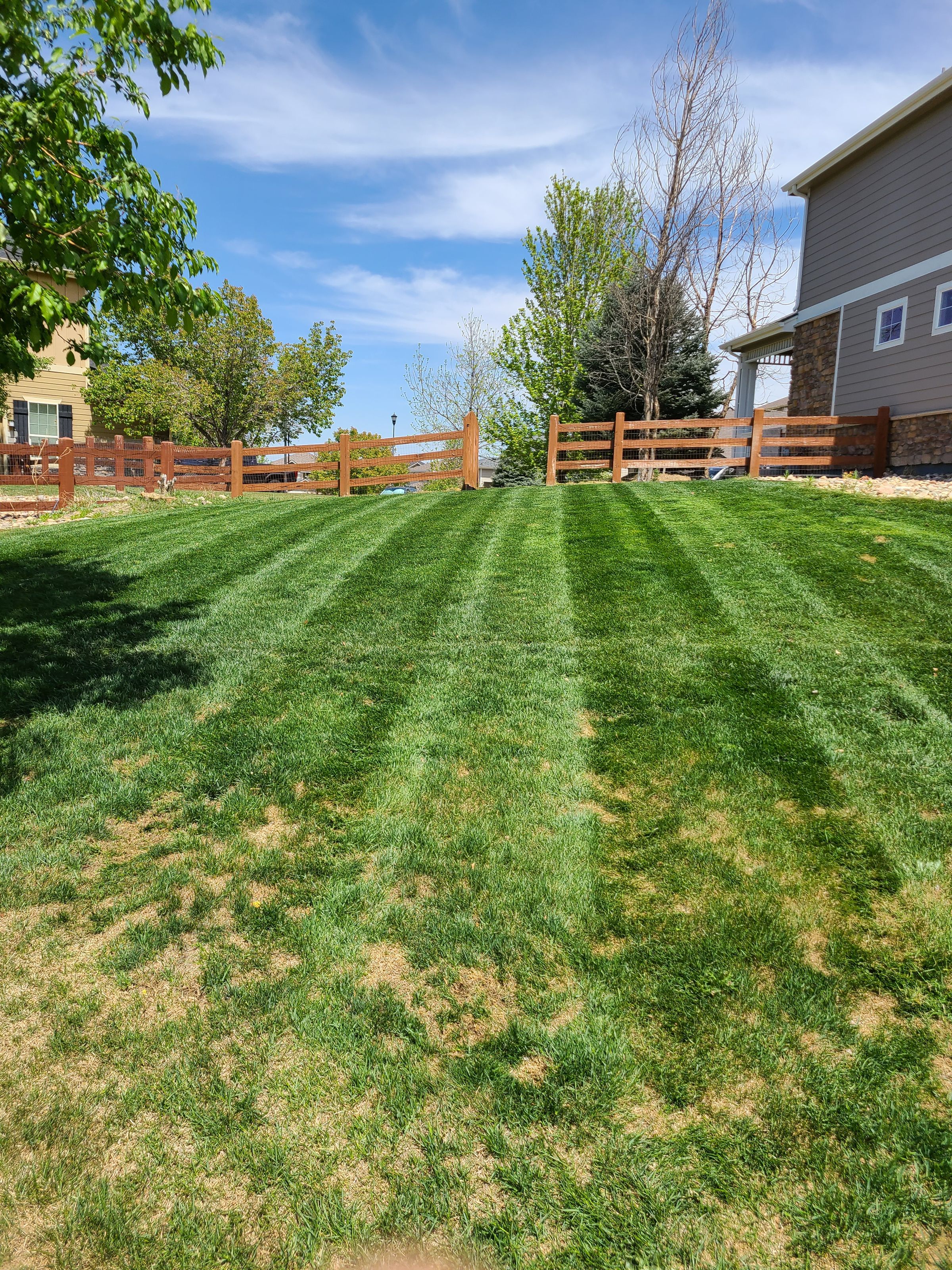 Bros That Mow Landscaping, LLC.303-931-5506's image