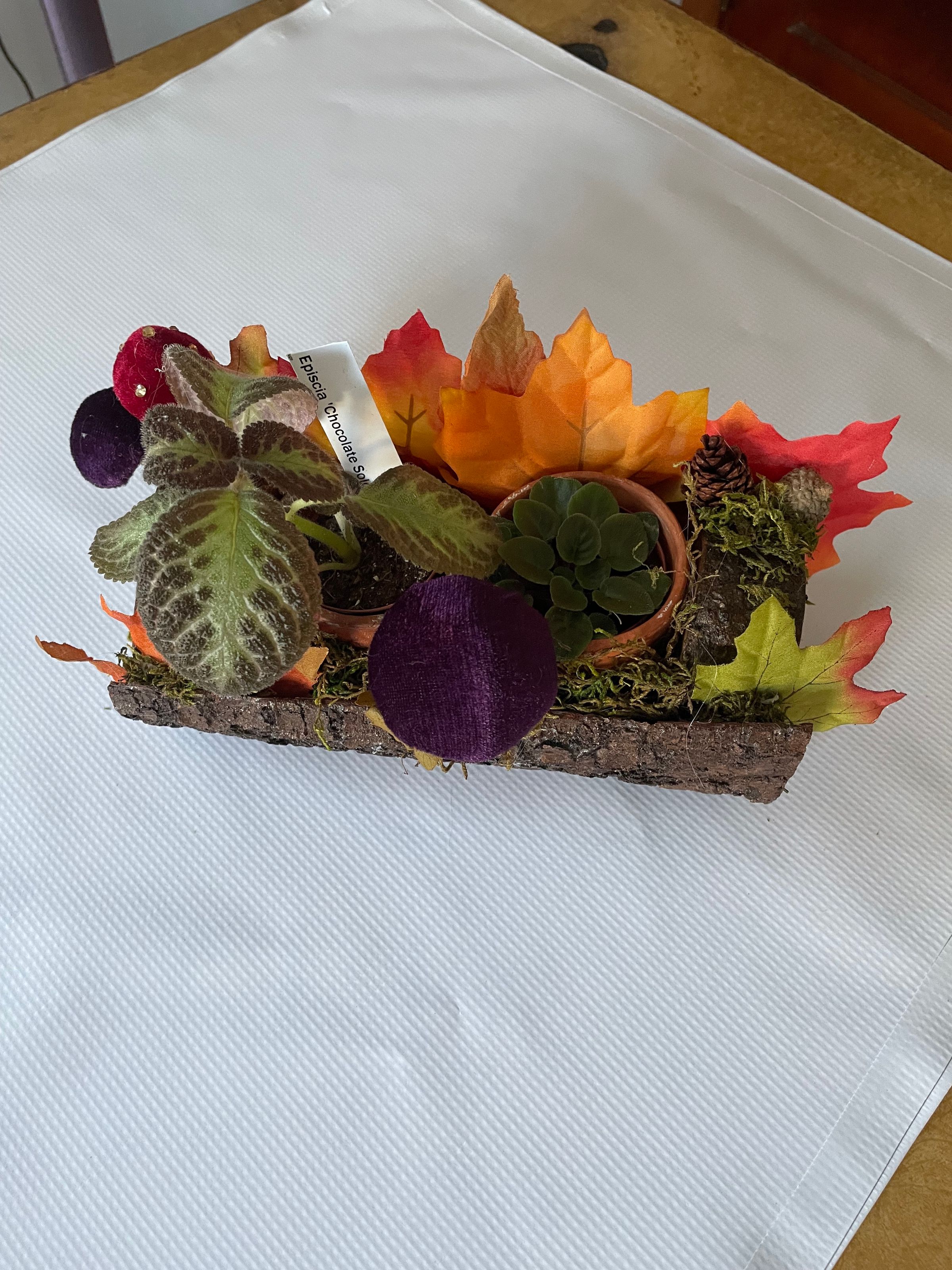 The Crafty Purple Butterfly's image