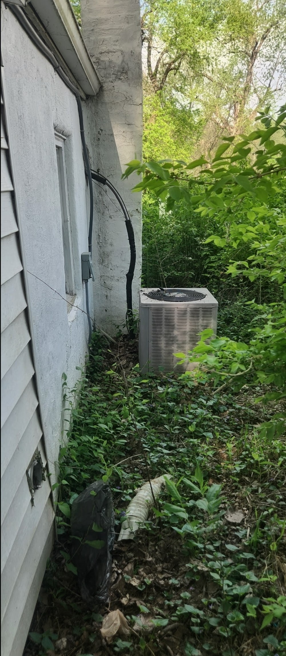 Back of House