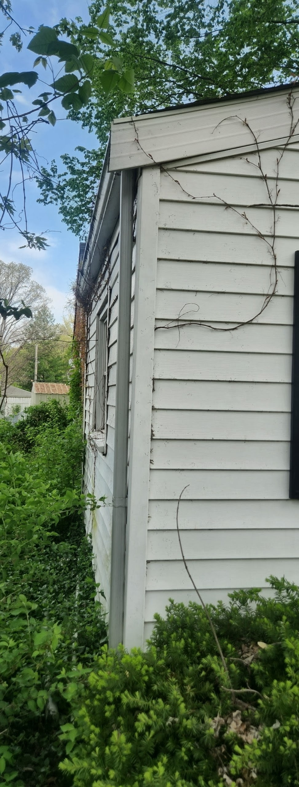 Right Side of House