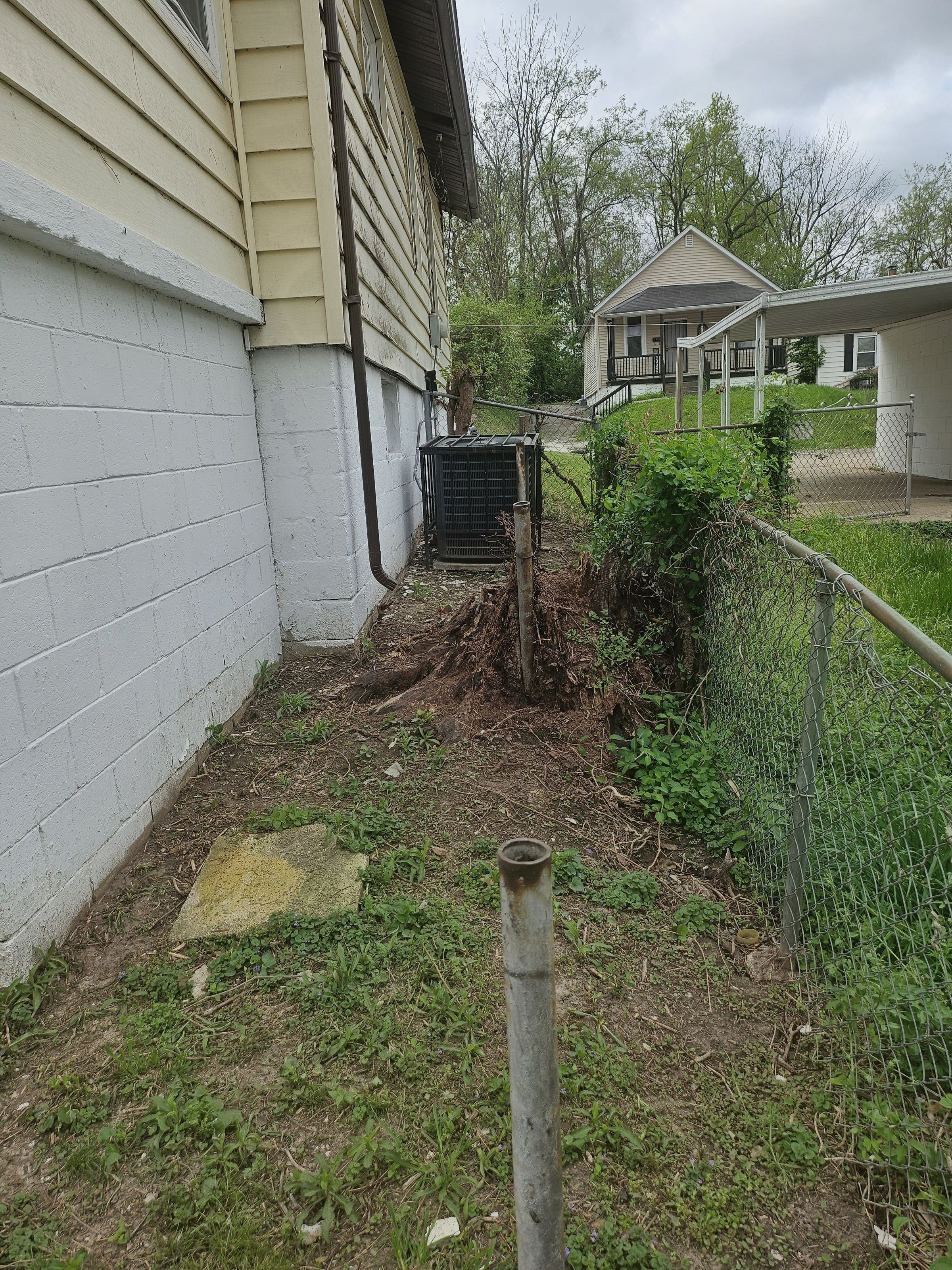 Side of House (AC Unit)
