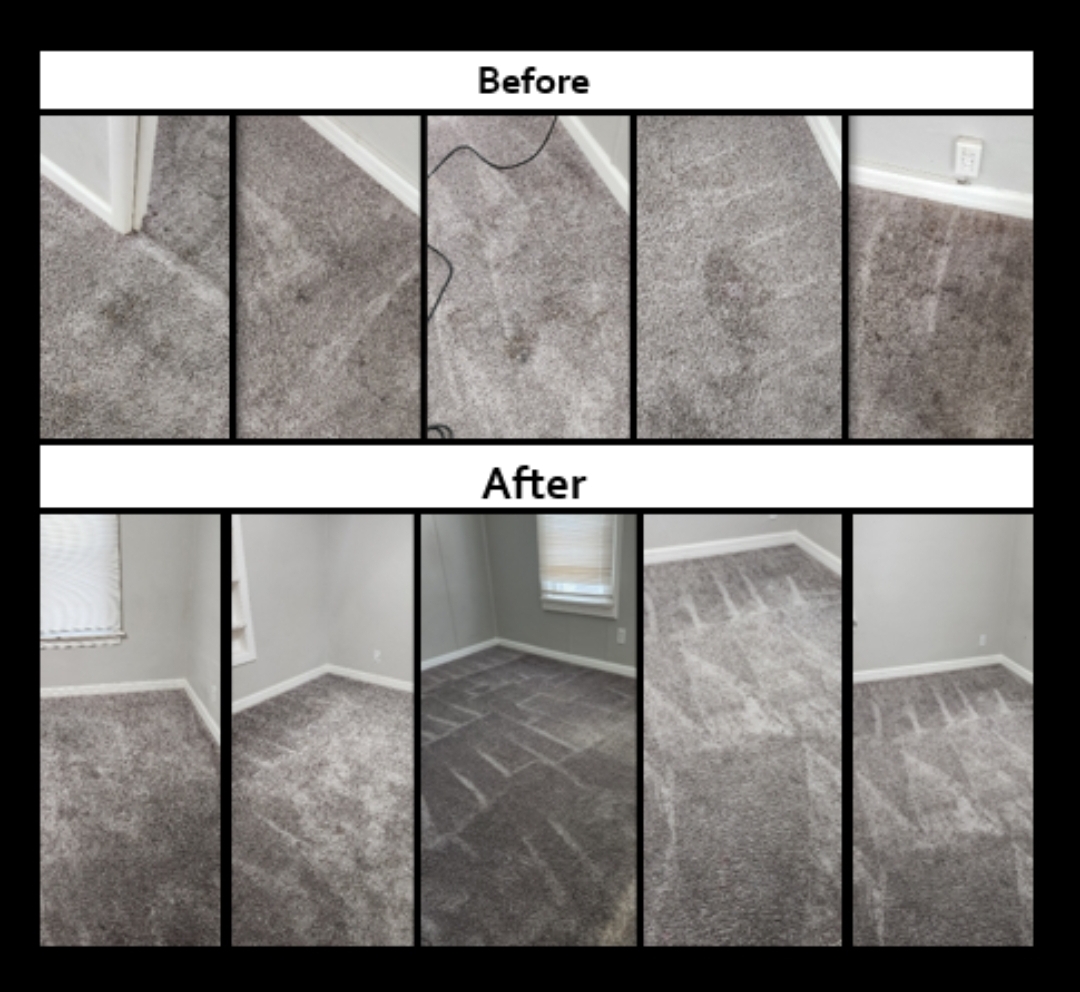 Carpets Steam Cleaning