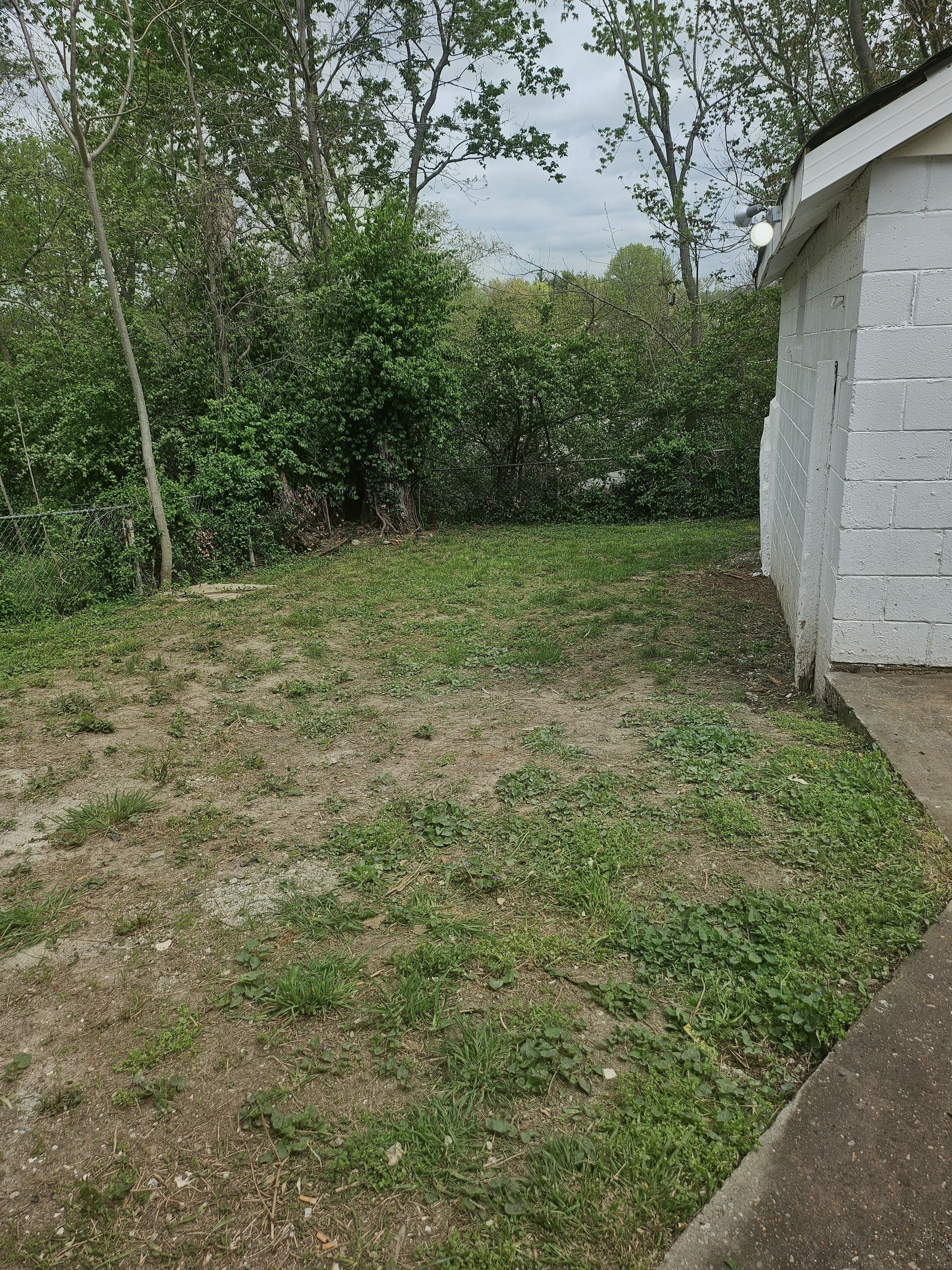 Back Yard