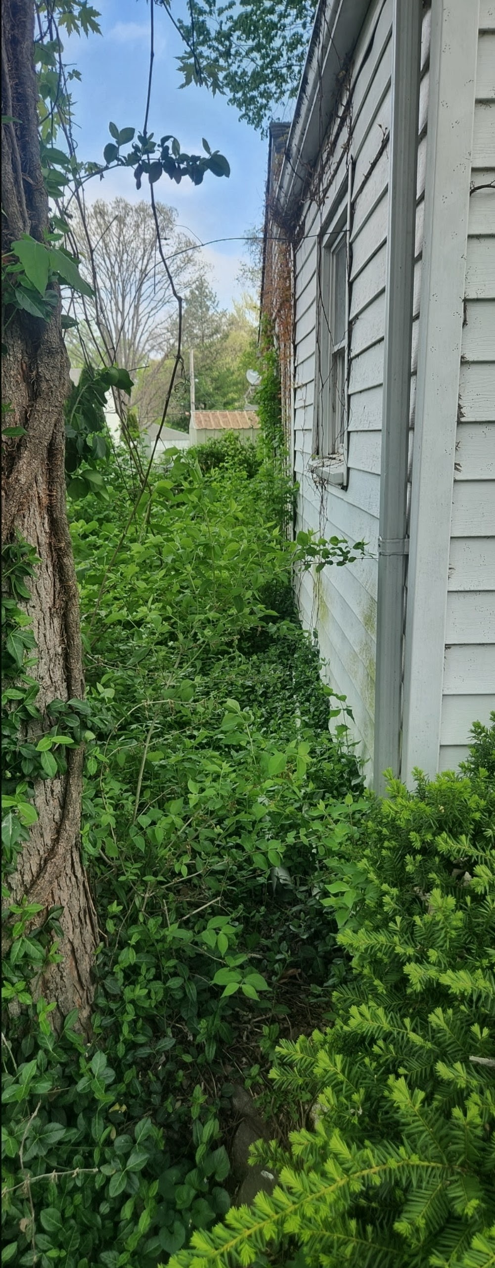 Right Side of House