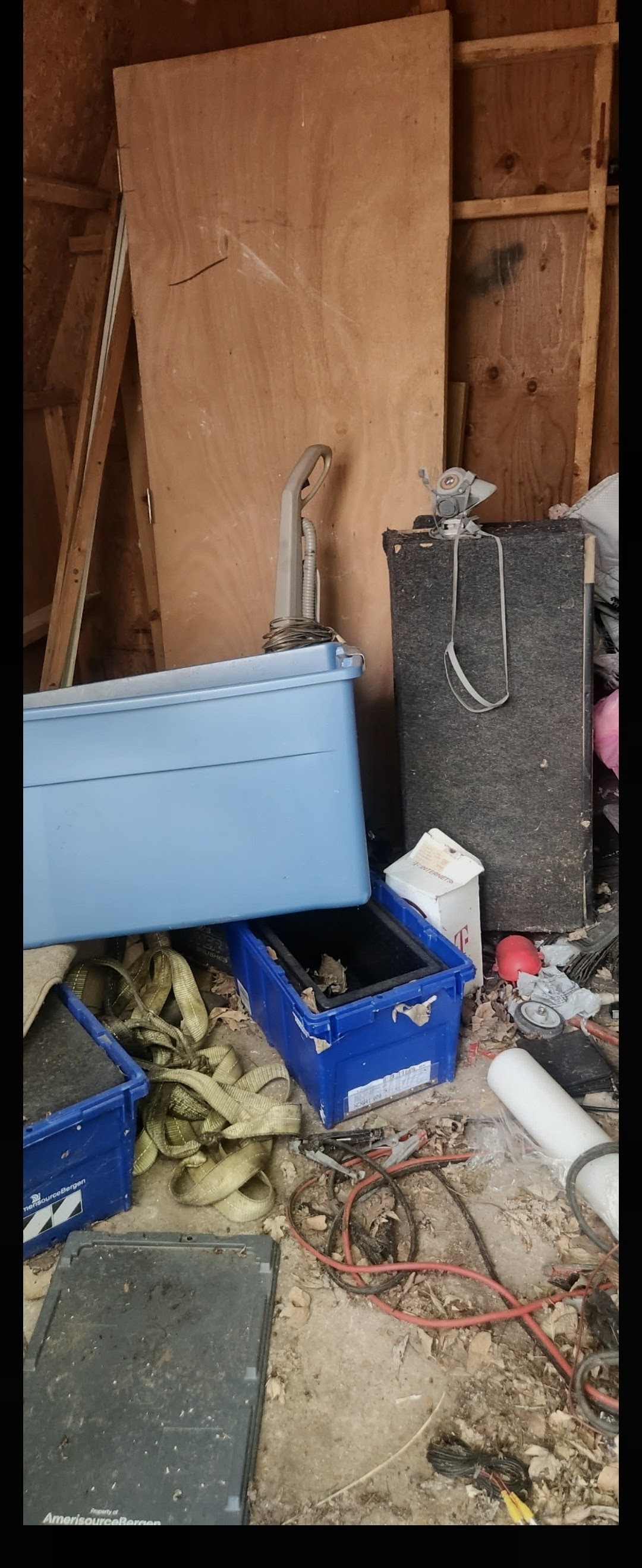 Inside Shed
