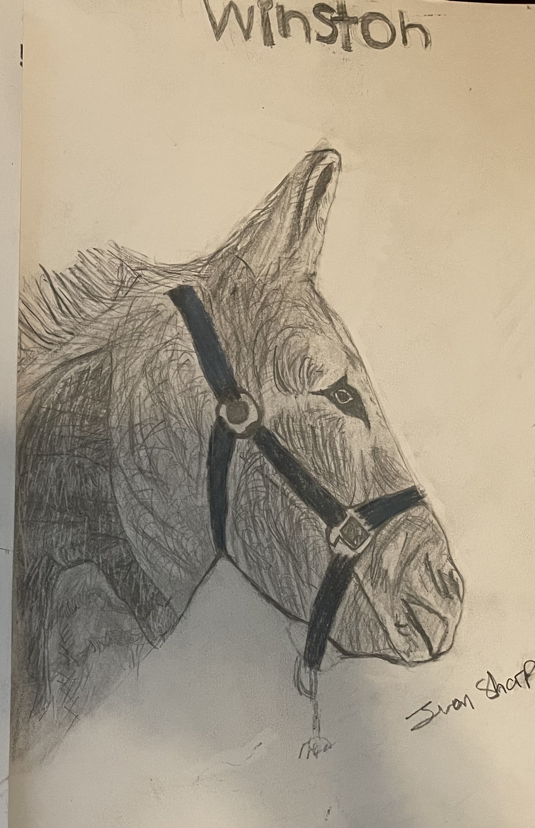 The God–Human–Animal Bond (The GHAB™) – Christian Theology's image