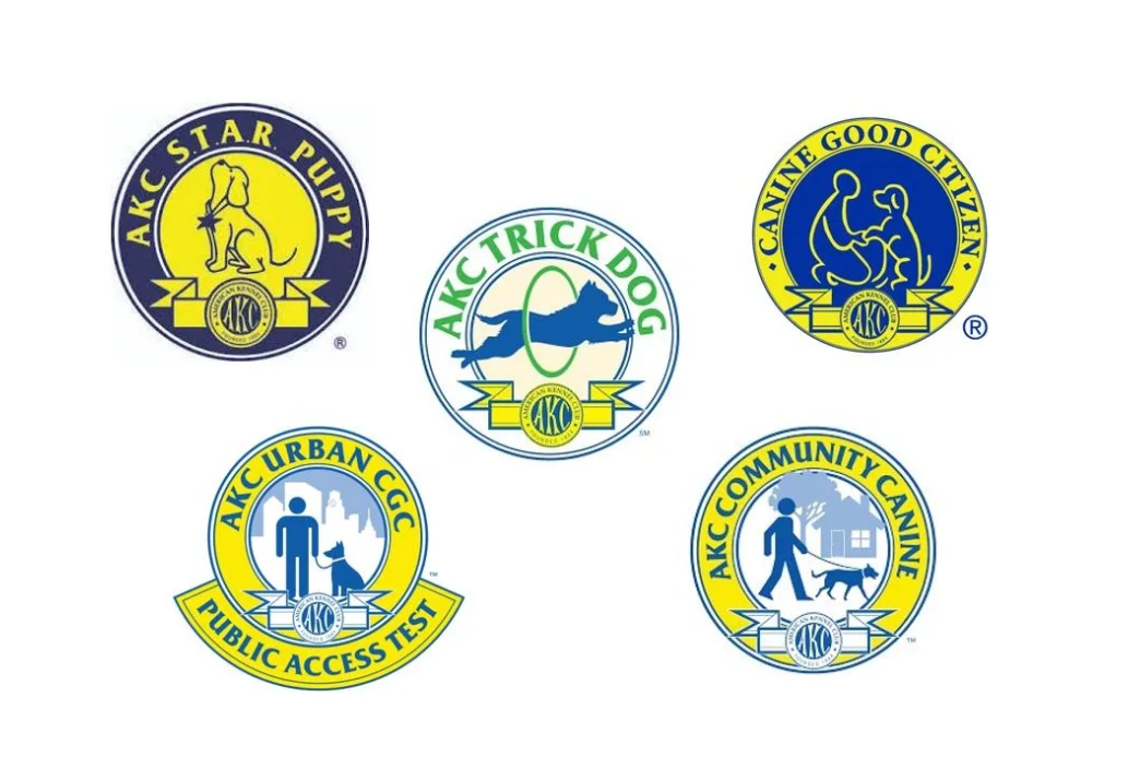 The God–Human–Animal Bond (The GHAB™) – Christian Theology's image