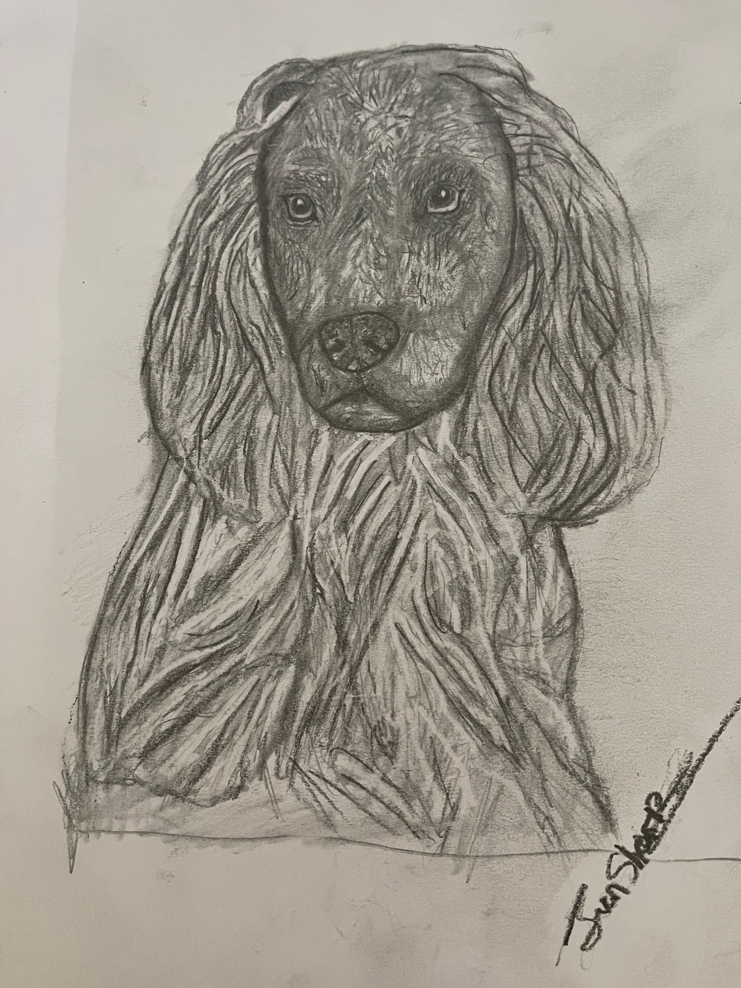 The God–Human–Animal Bond (The GHAB™) – Christian Theology's image