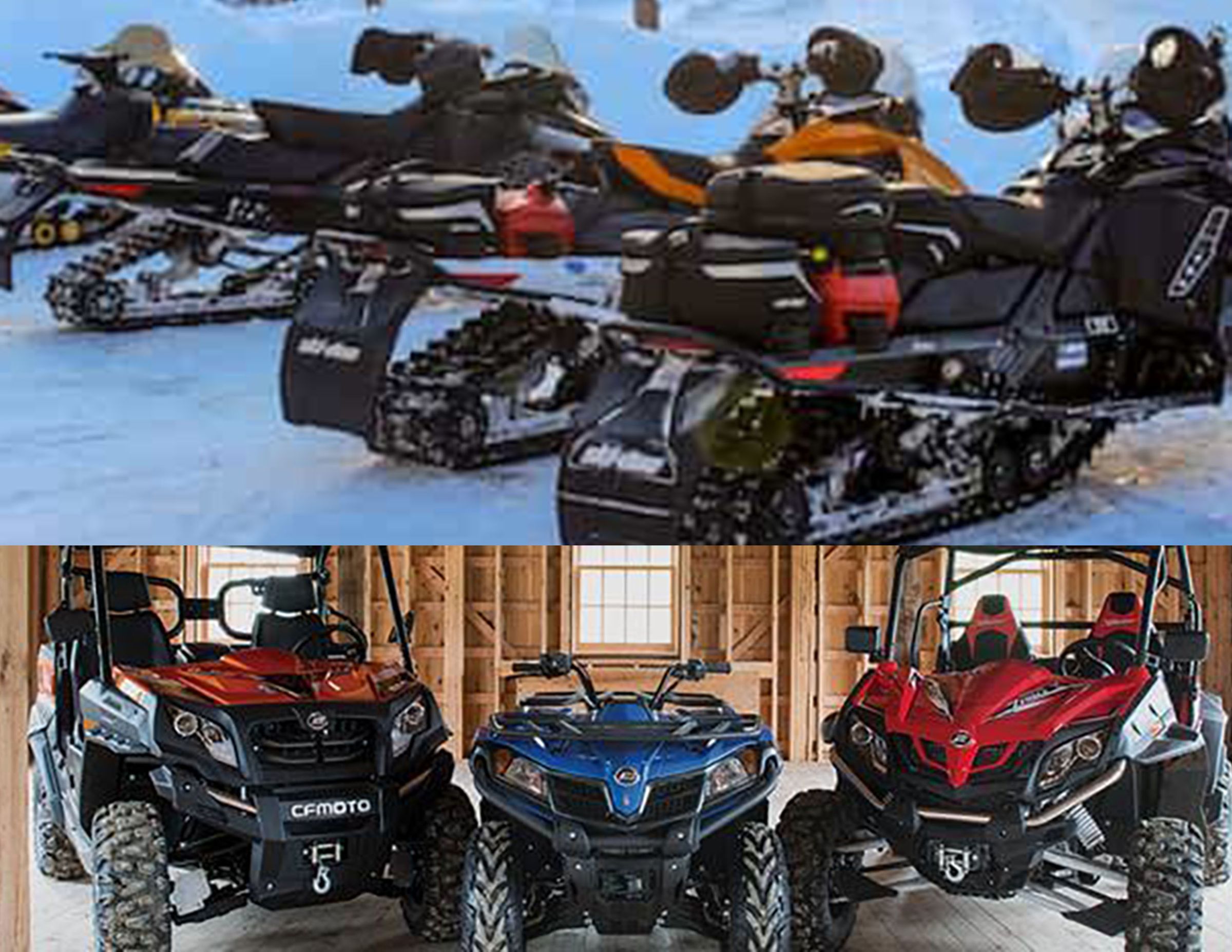 Sheila's Notary's image