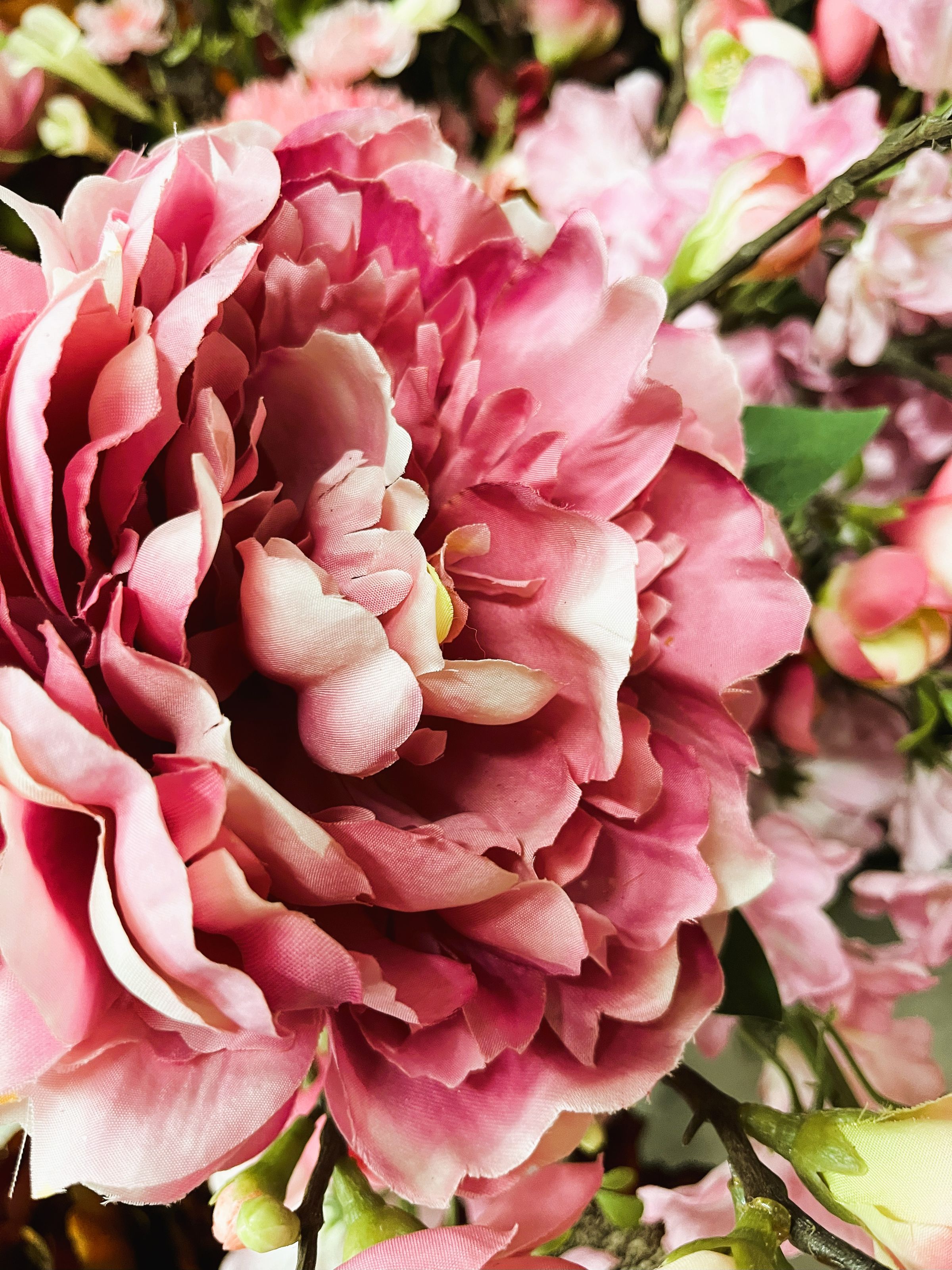 Whimsical Designs's image