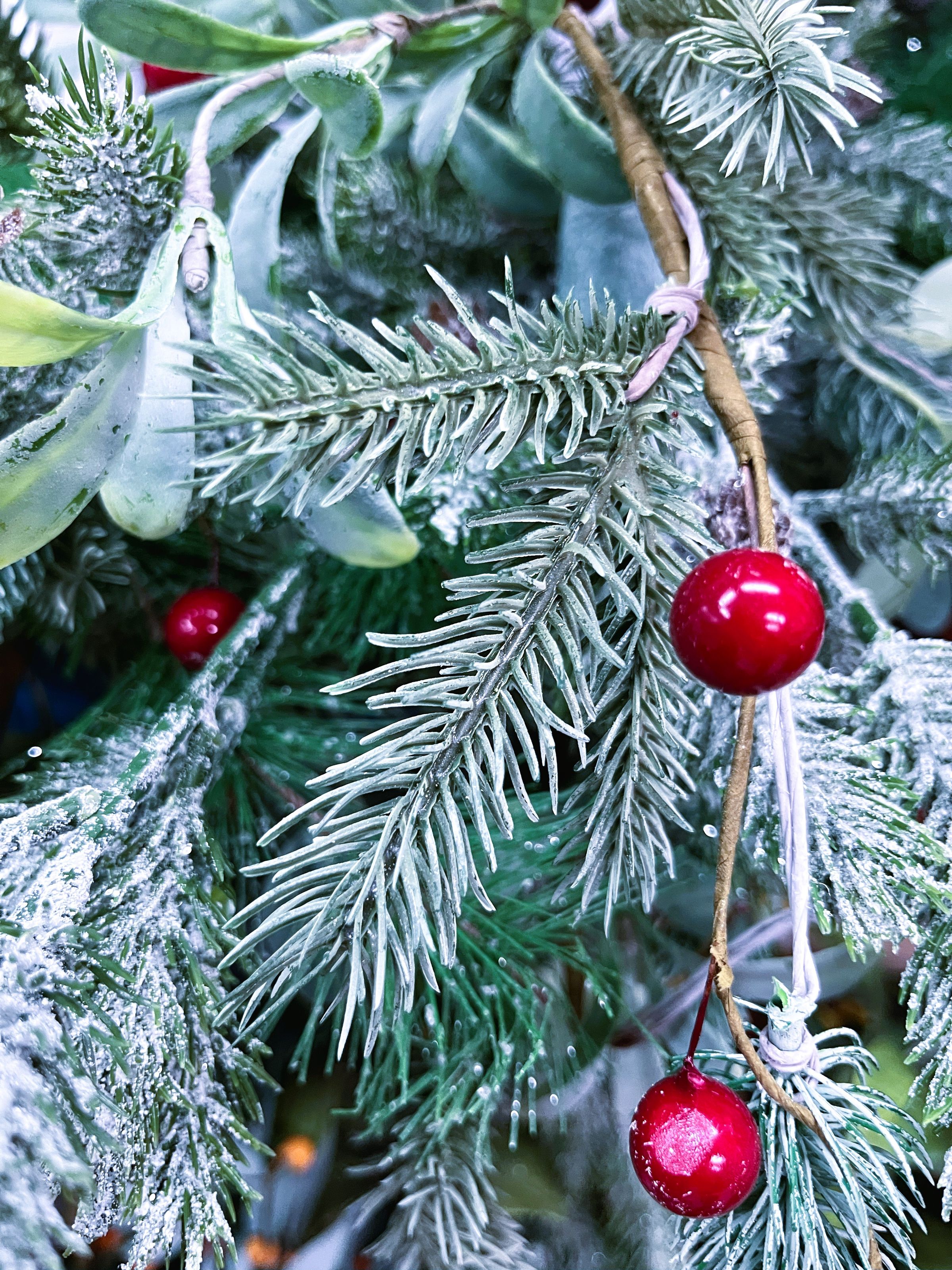 Whimsical Designs's image