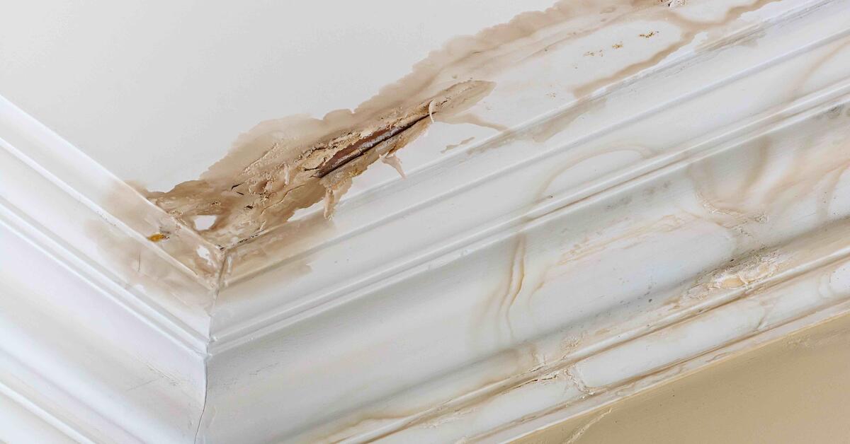 Wired Up Electrical | Plumbing Services Cape Town.'s image