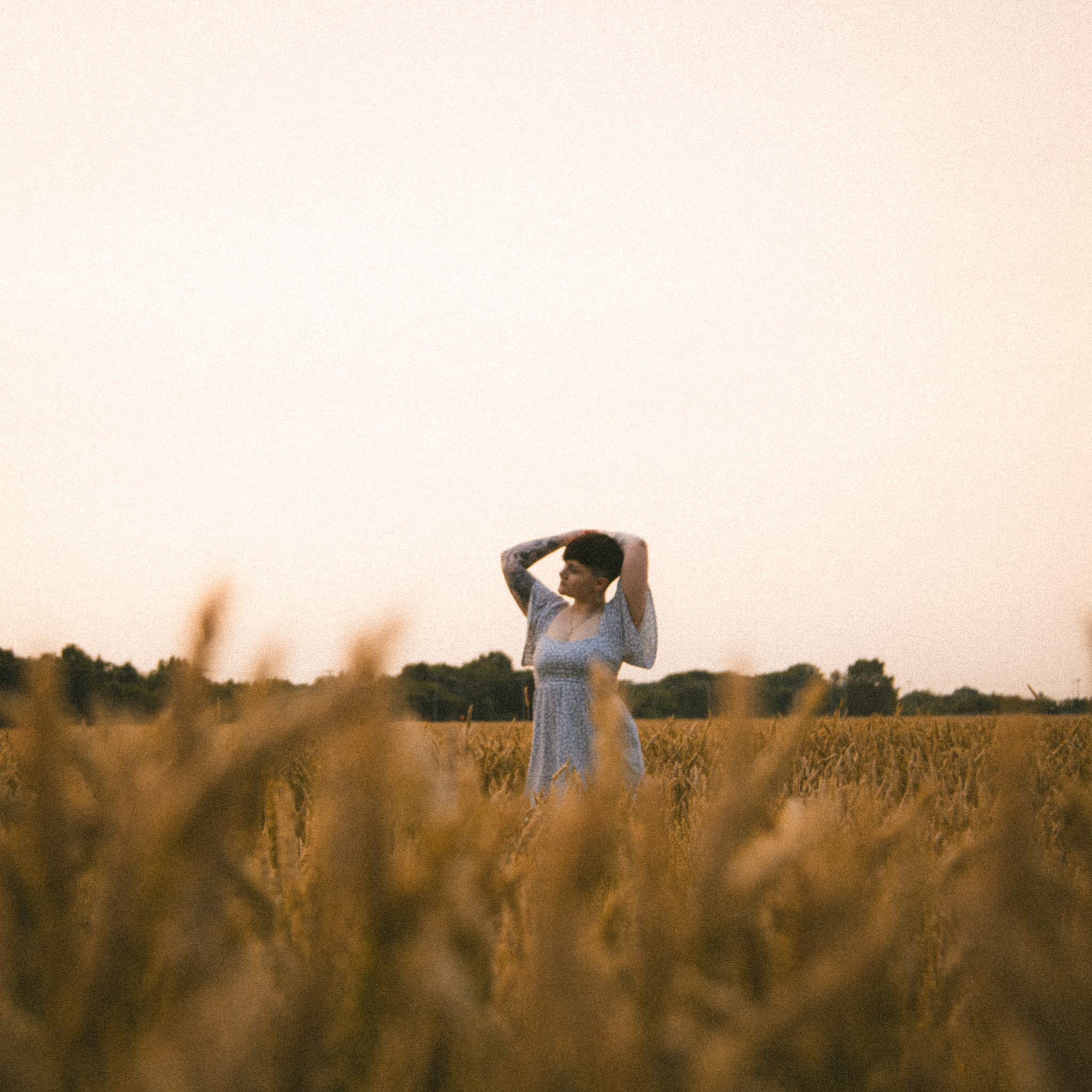 Adam Shelton Photography 's image