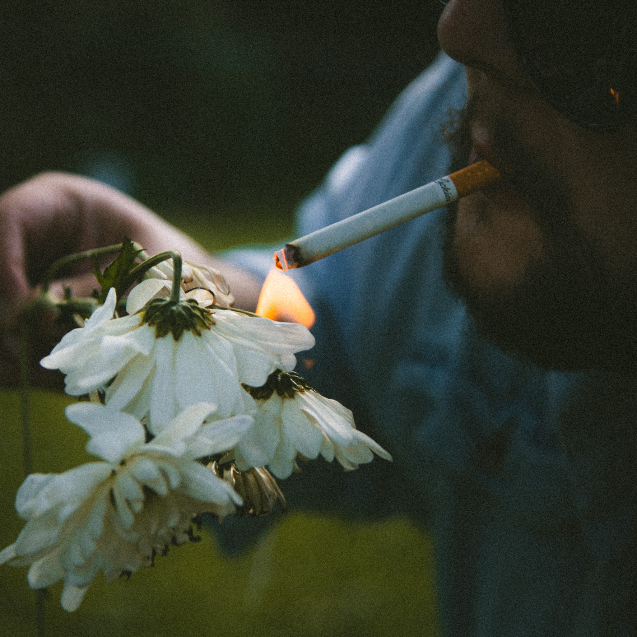 Adam Shelton Photography 's image