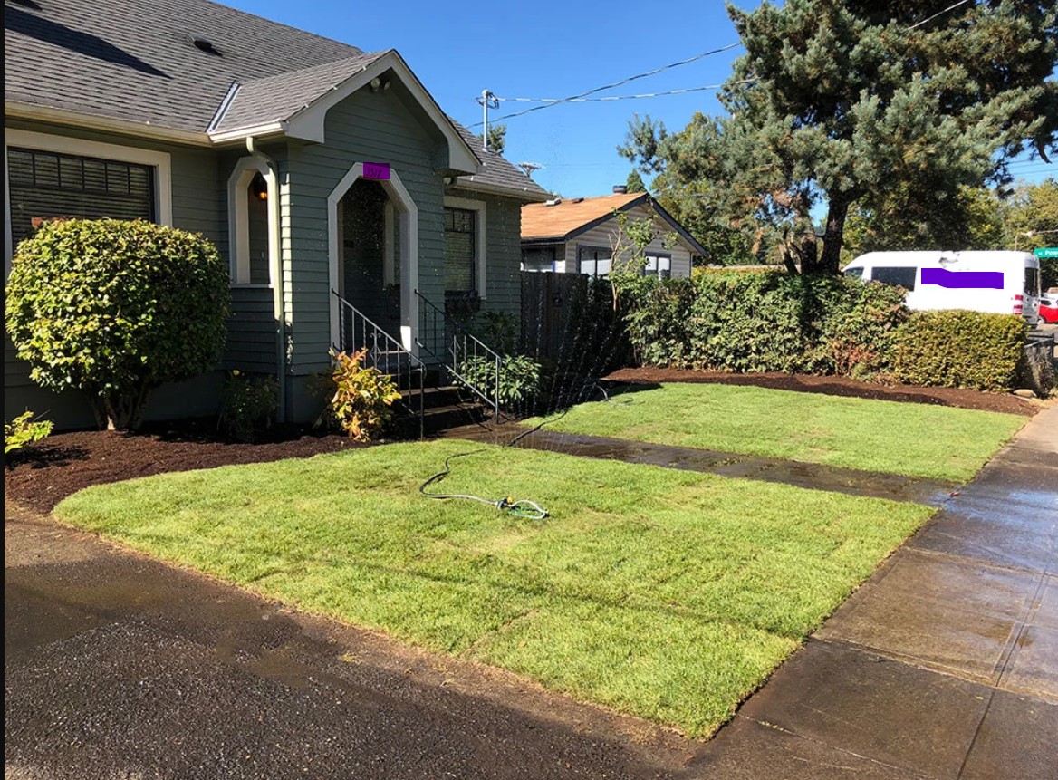 Cutting, edging, mulch and more!