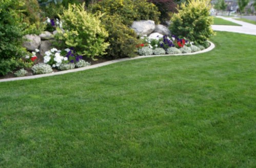 I.L.L Enterprises LLC's image