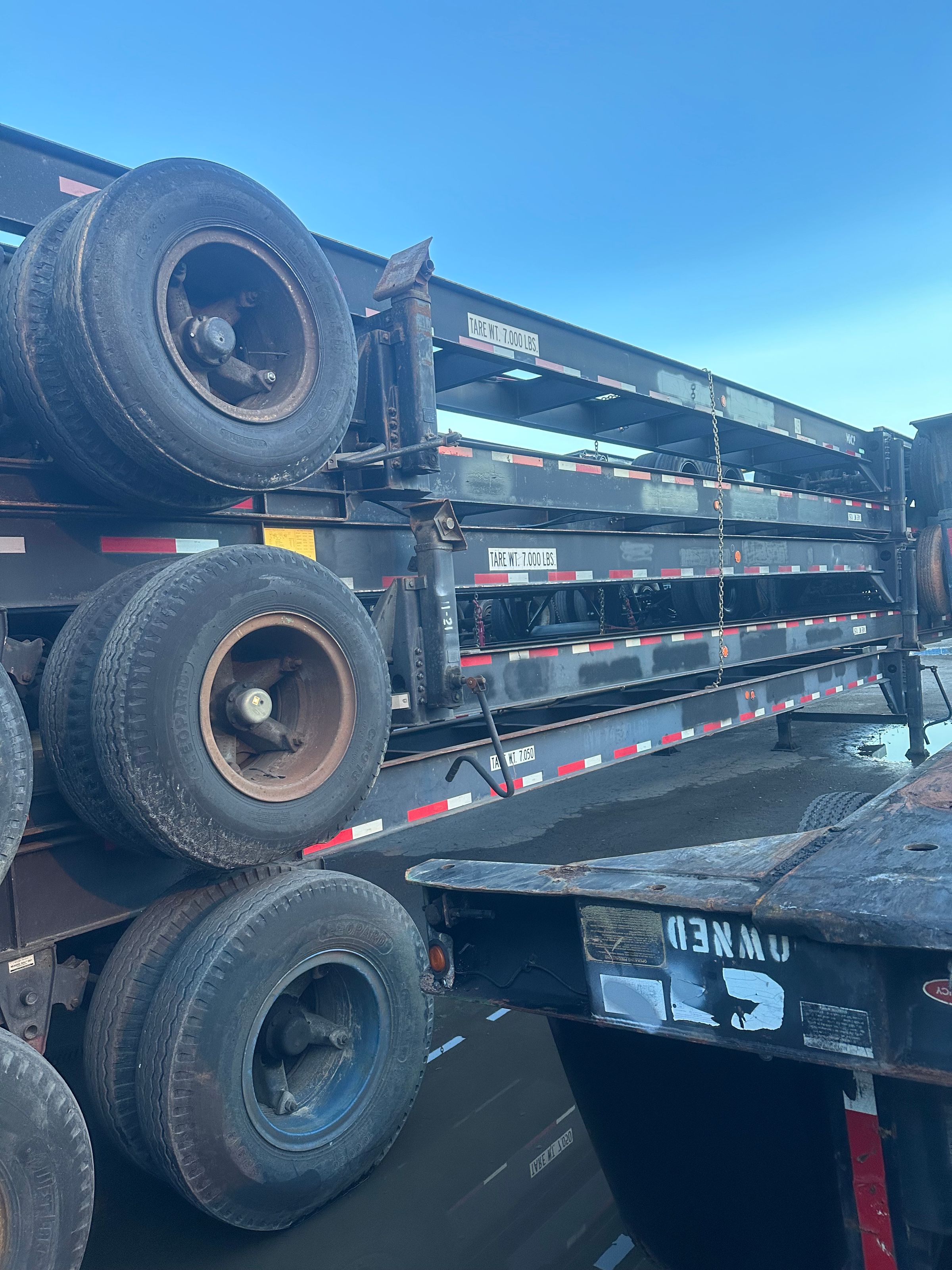 Chassis Kingdom's image