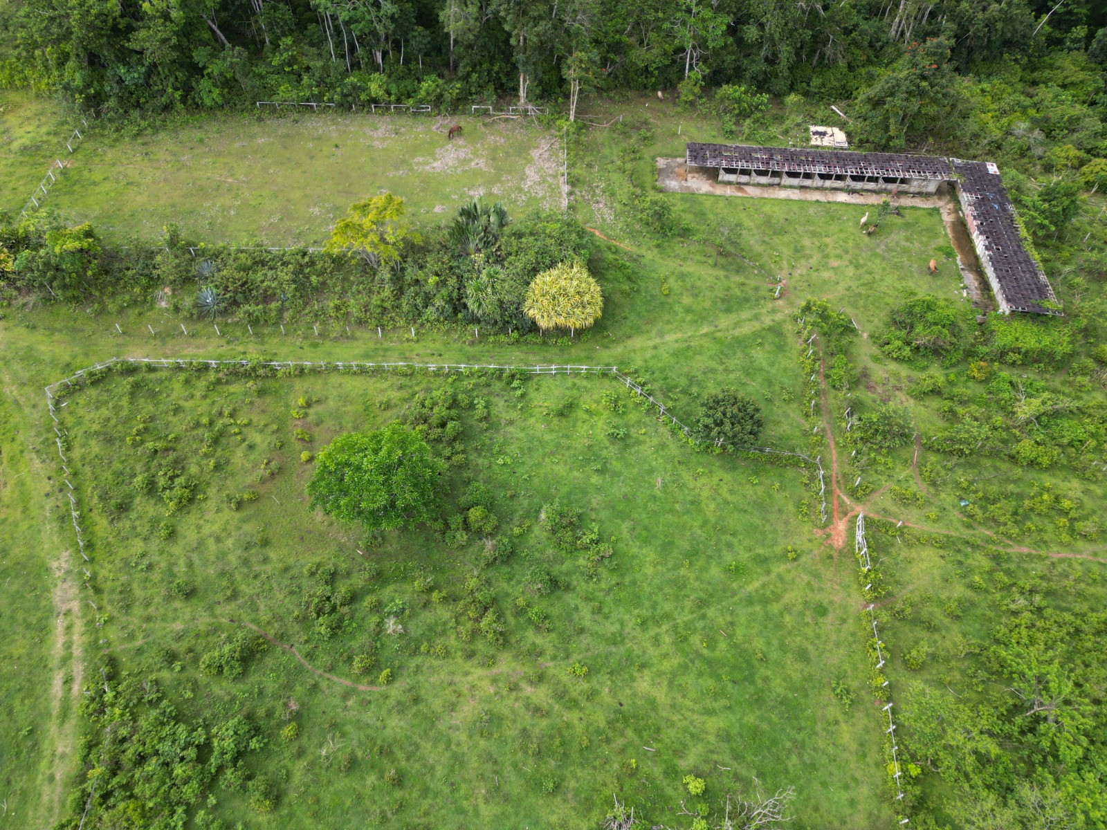 Esta propiedad se vende en Samaná a siete dólares. El metro en total tiene 191,000 m²