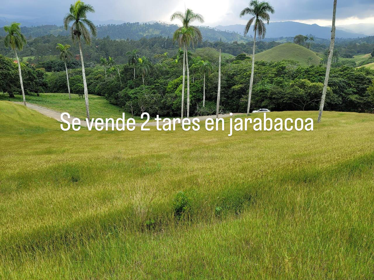Se vende esta propiedad en Jarabacoa