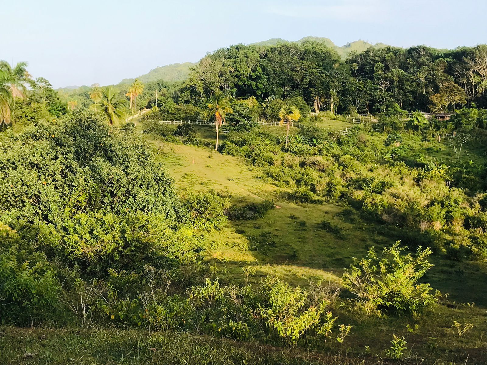 Esta propiedad se vende en Samaná a siete dólares el metro en total tiene 191,000 m²