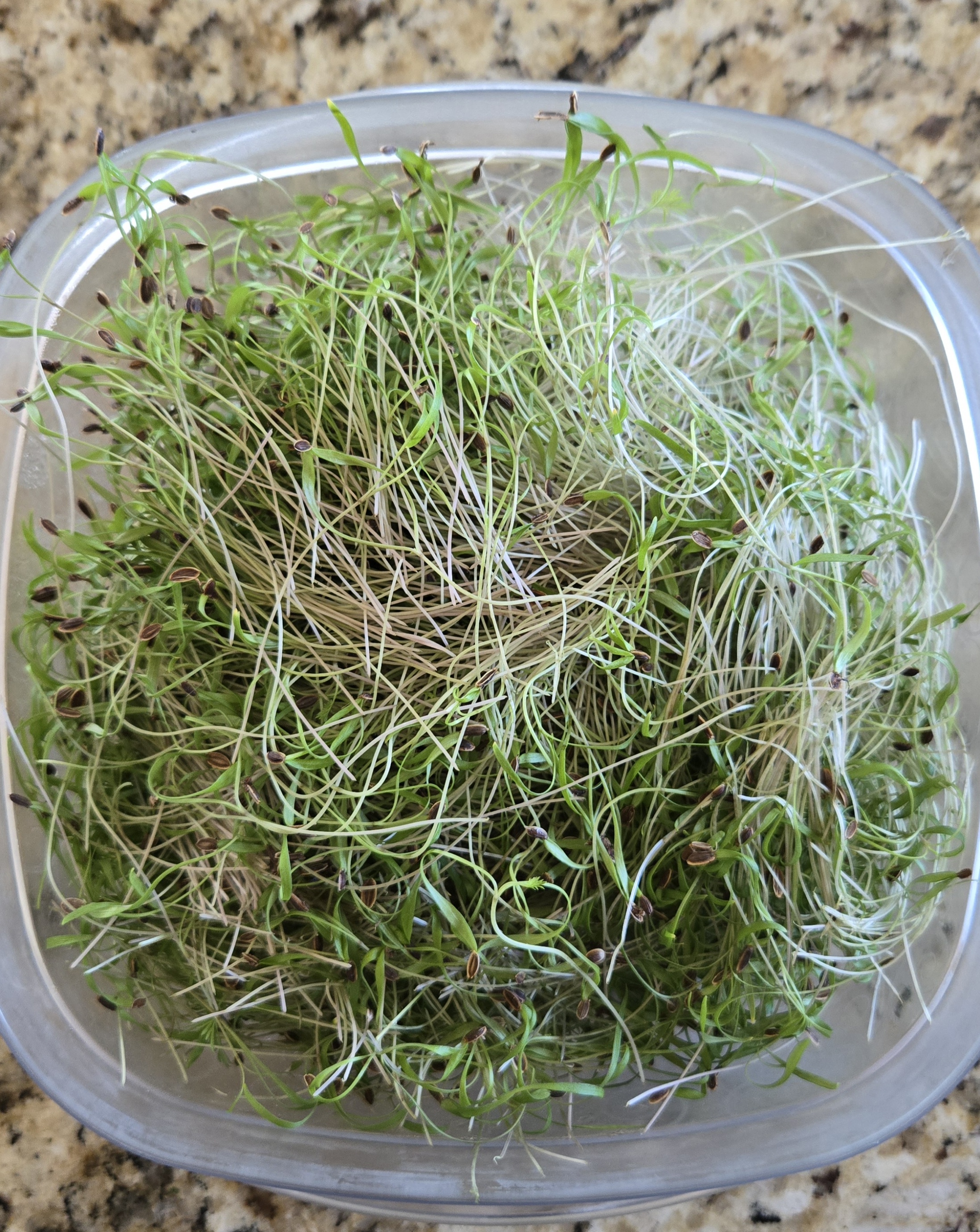 Well-Watered Farms's image
