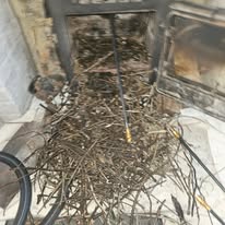 Fisher's Flues's image