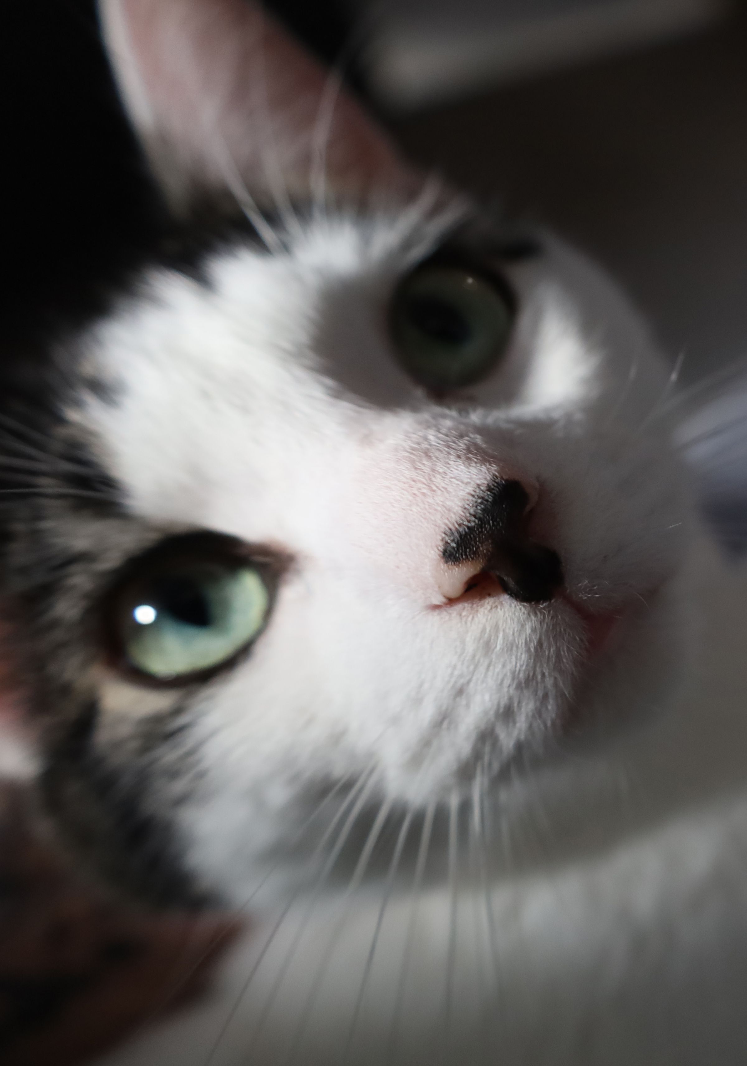 Tattoo studio's image