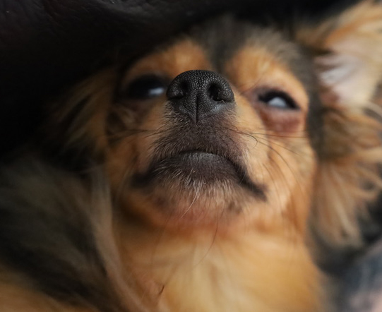 Tattoo studio's image