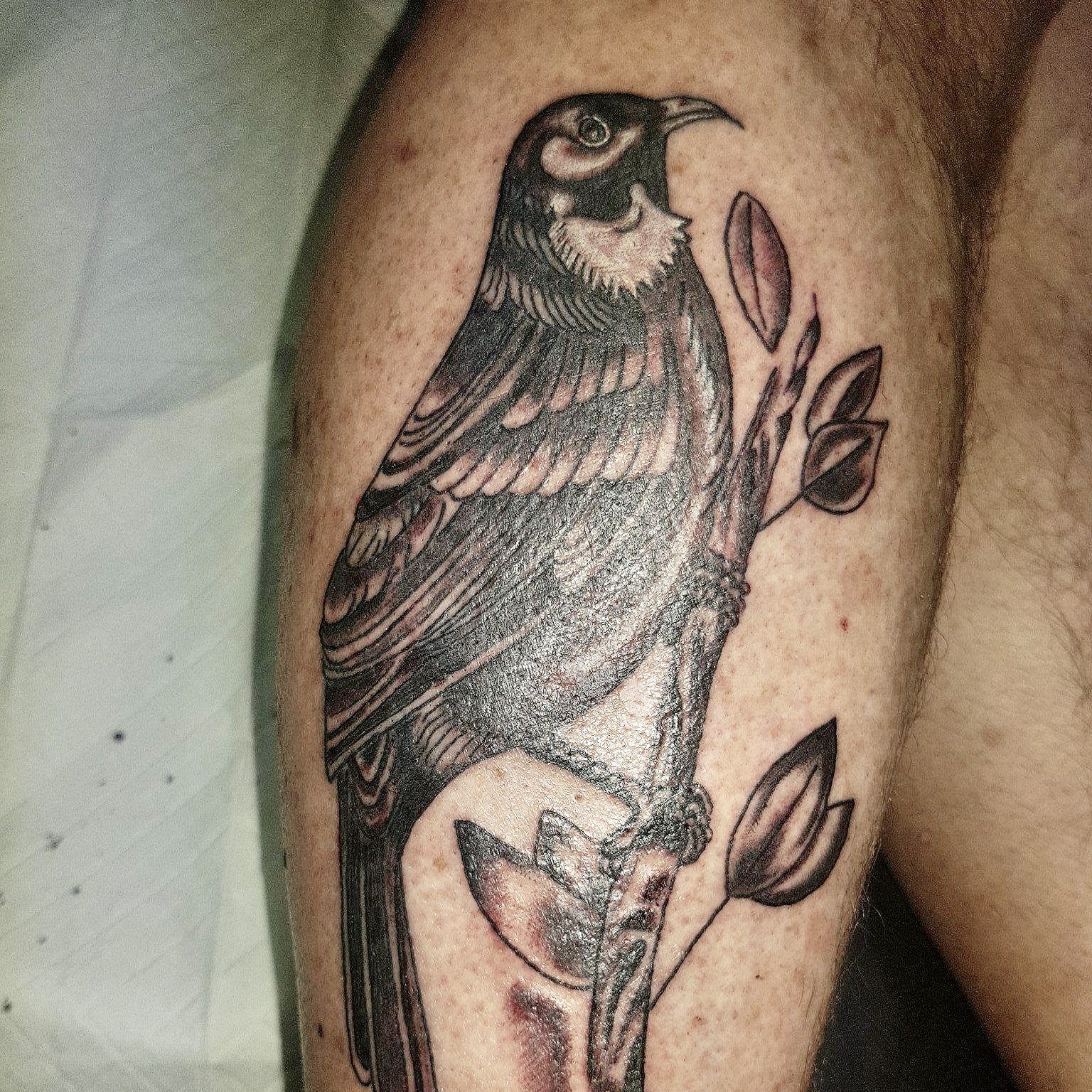 Tattoo studio's image