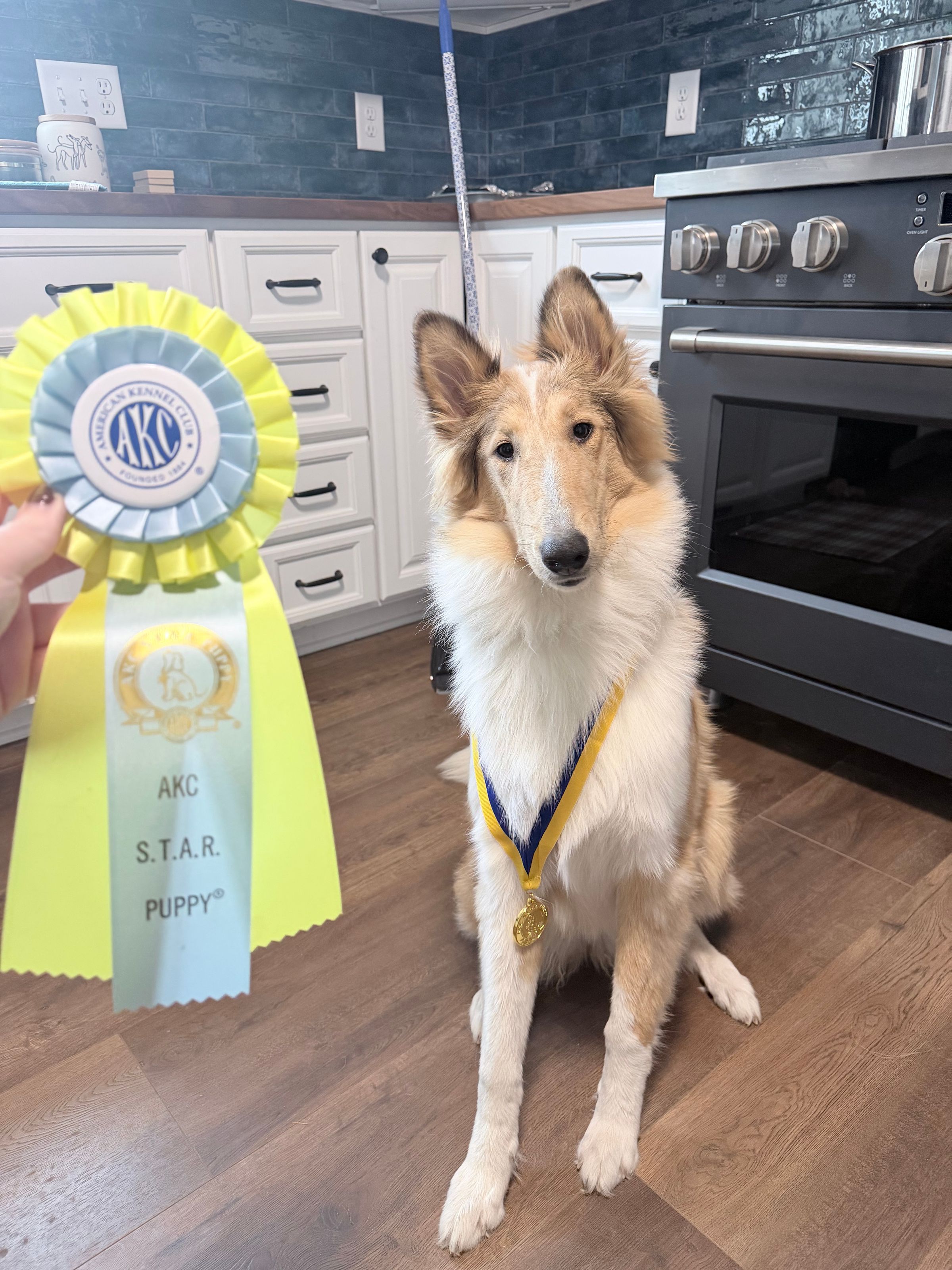 BringTheBark's image