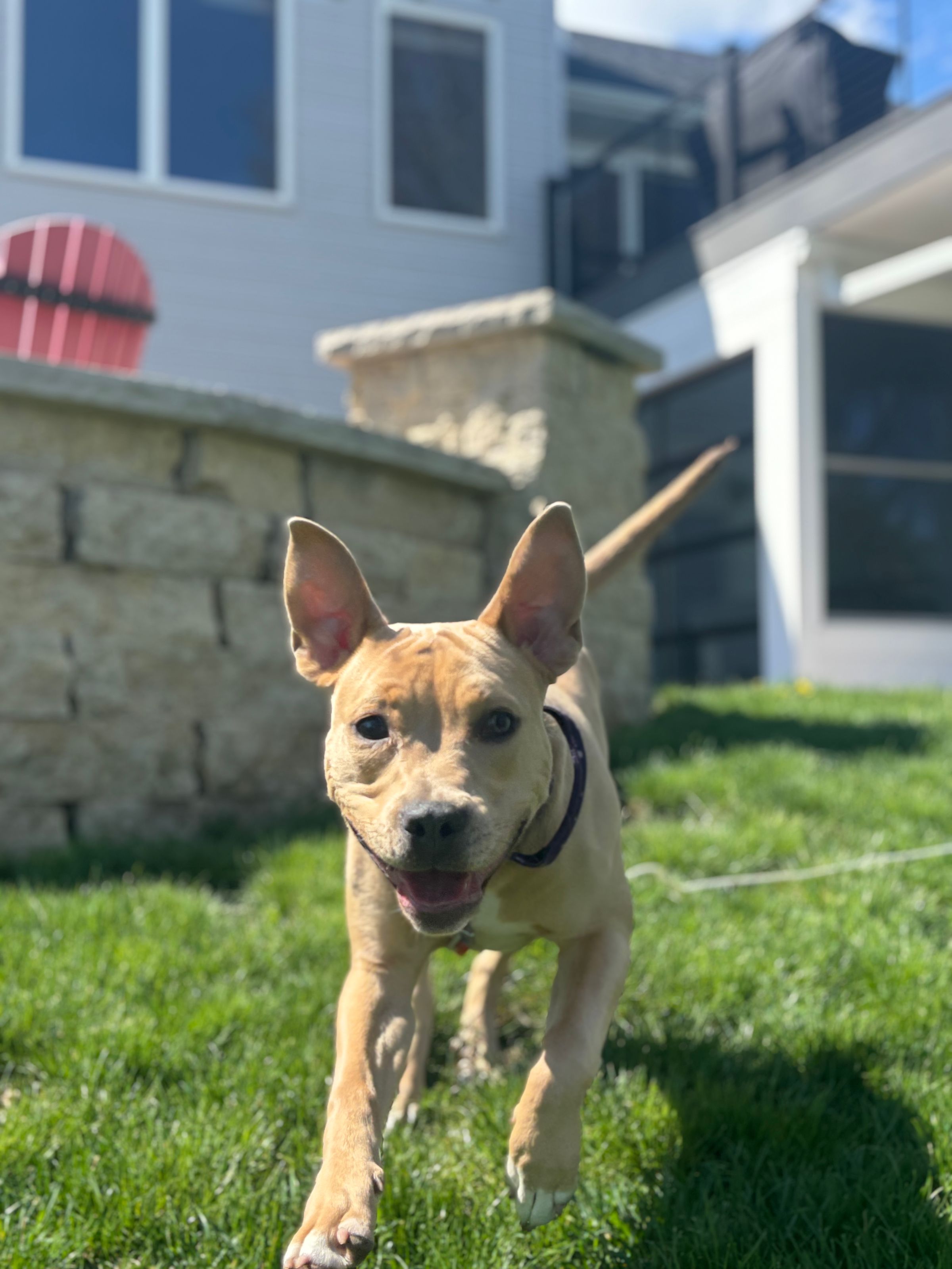 Zoomies!