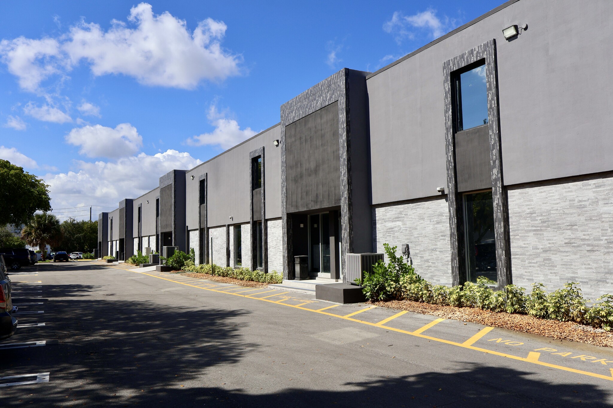 Nicola Carotenuto's image