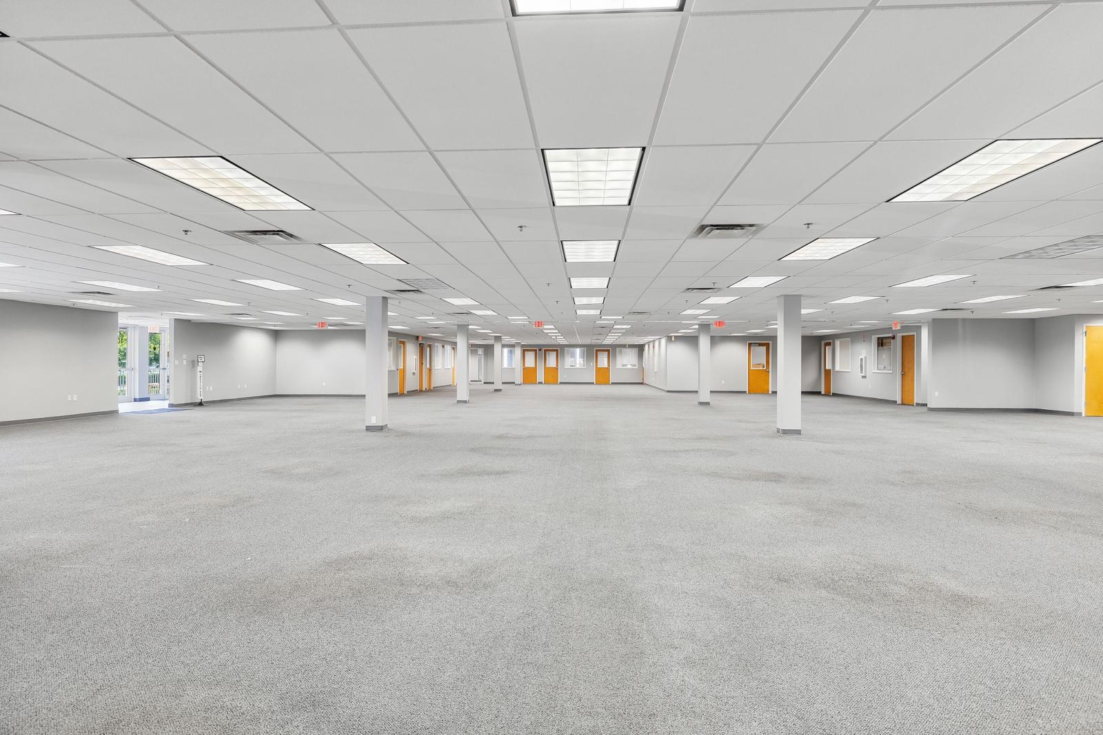 Nicola Carotenuto's image