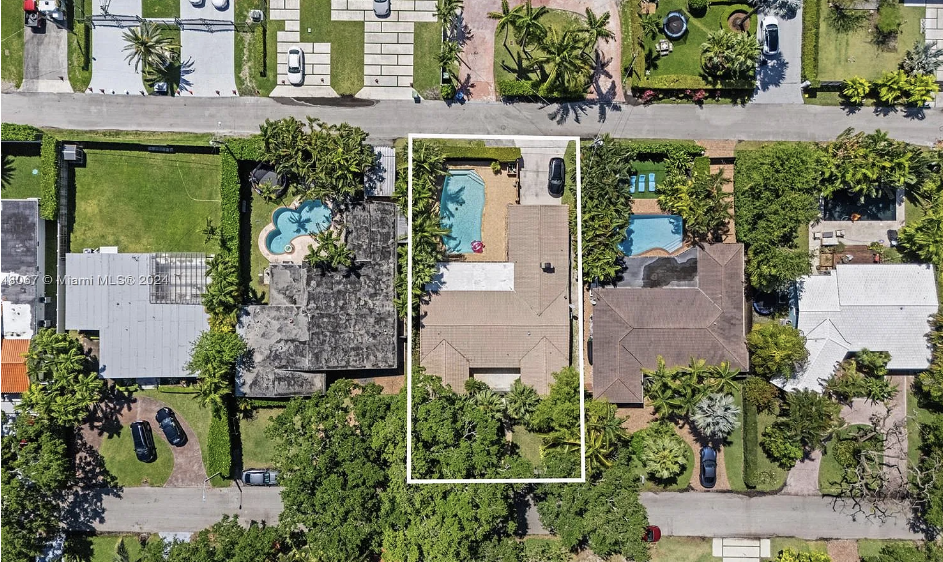 Nicola Carotenuto's image