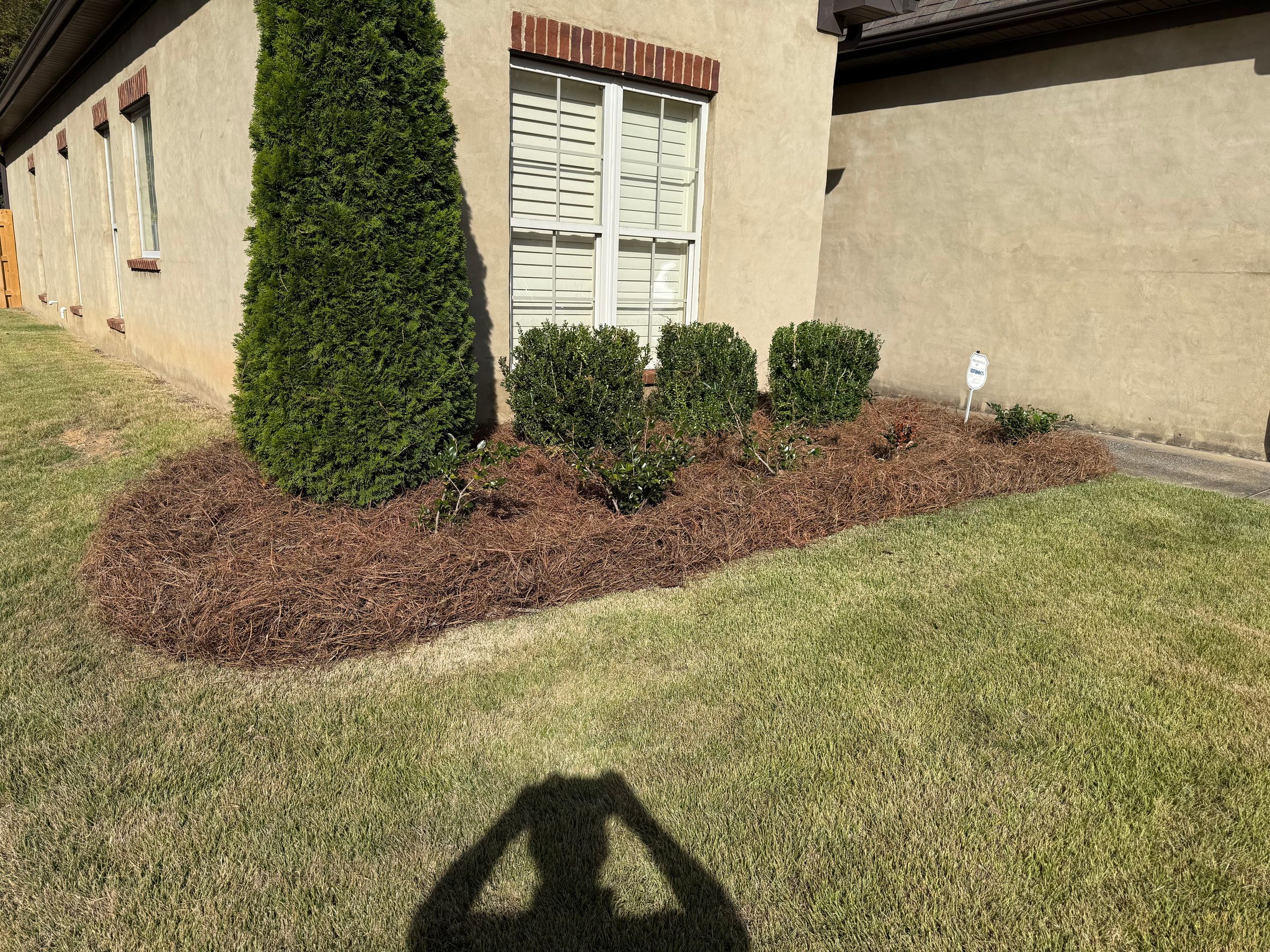 Platinum Lawn 's image