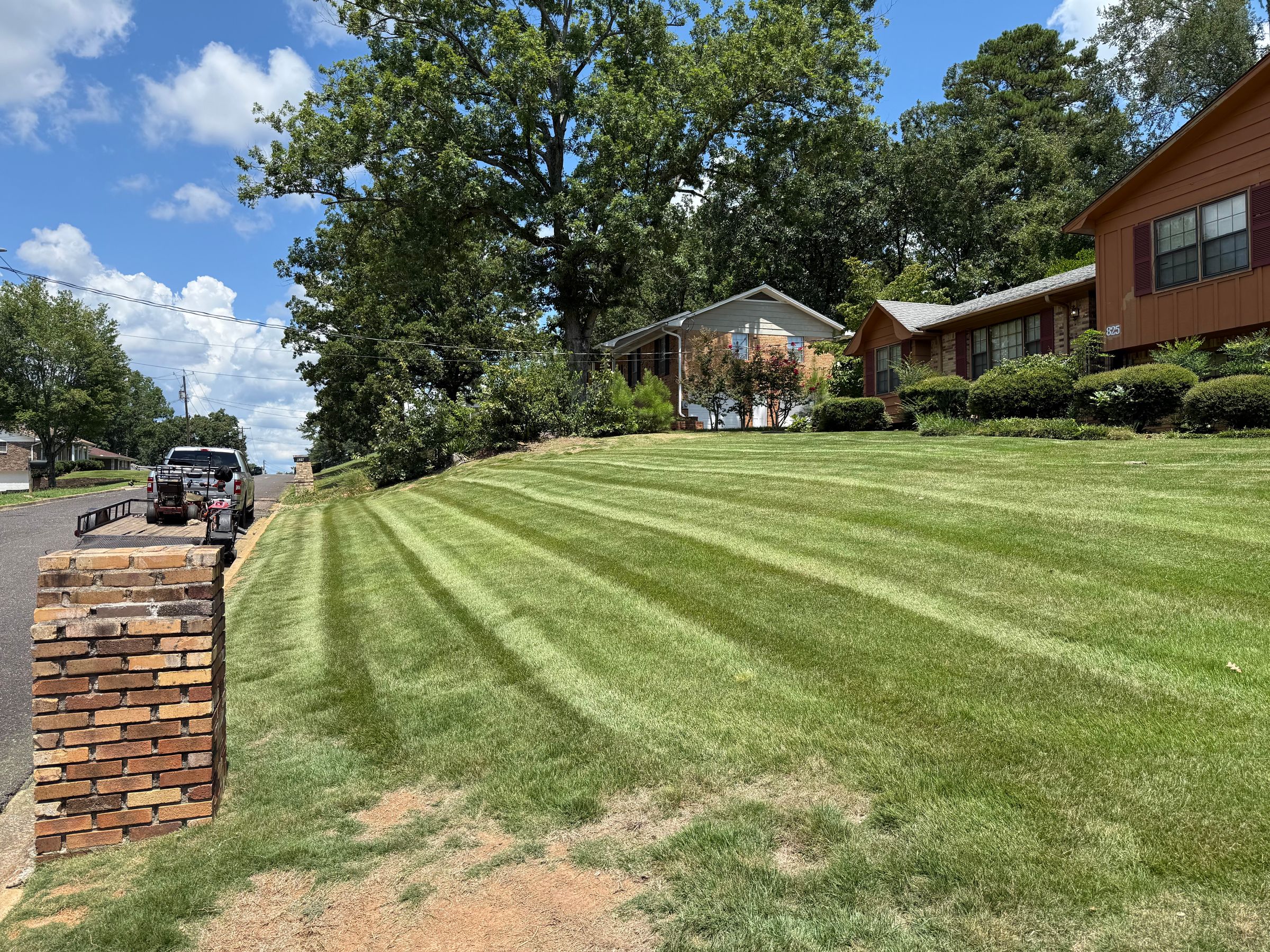 Platinum Lawn 's image