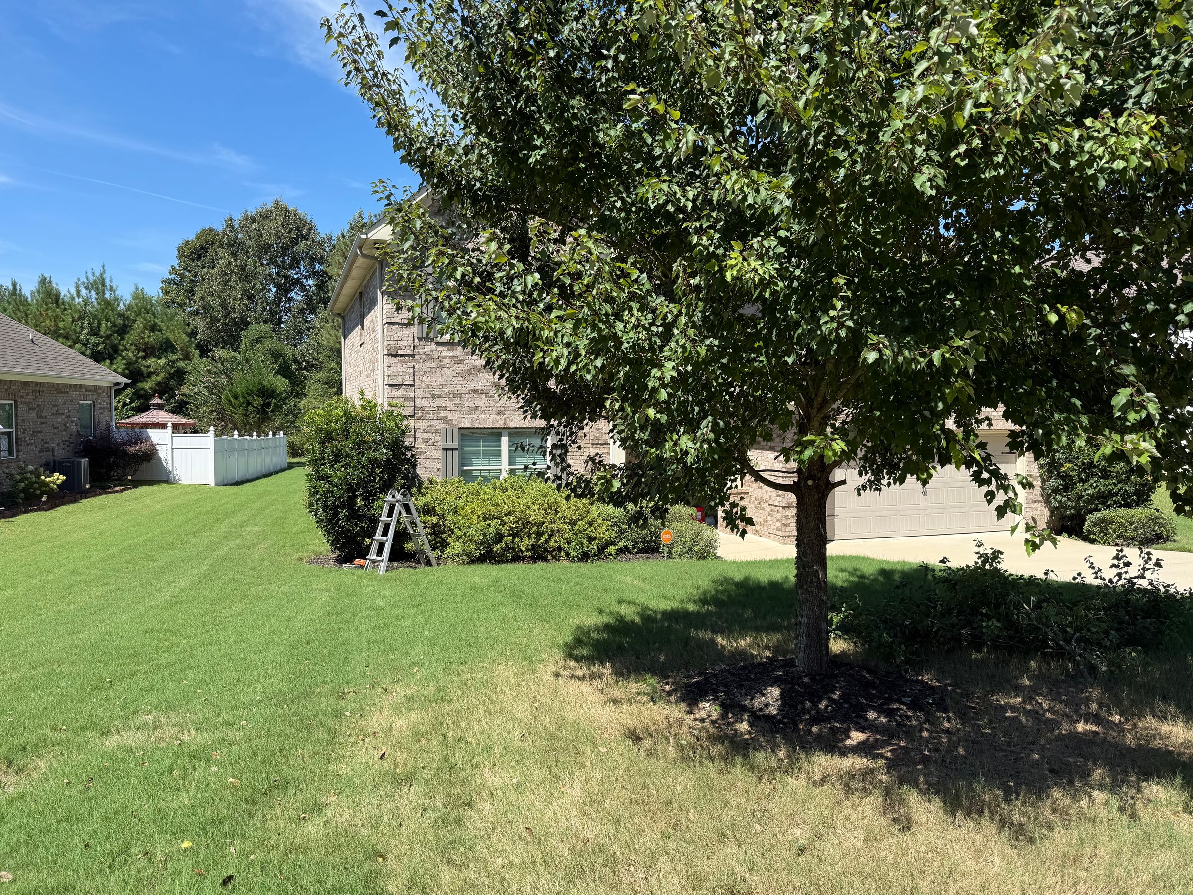 Platinum Lawn 's image