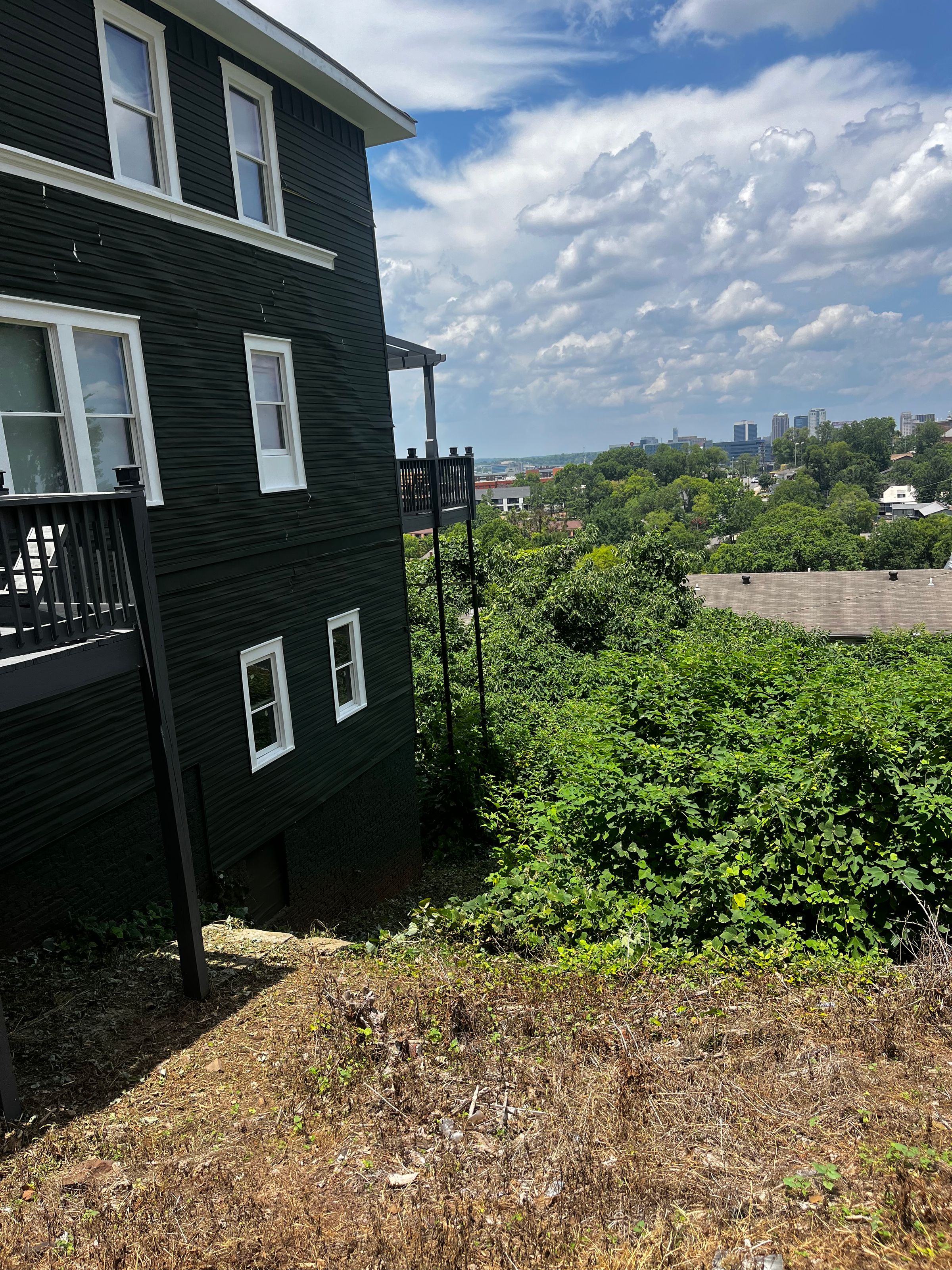 Platinum Lawn 's image