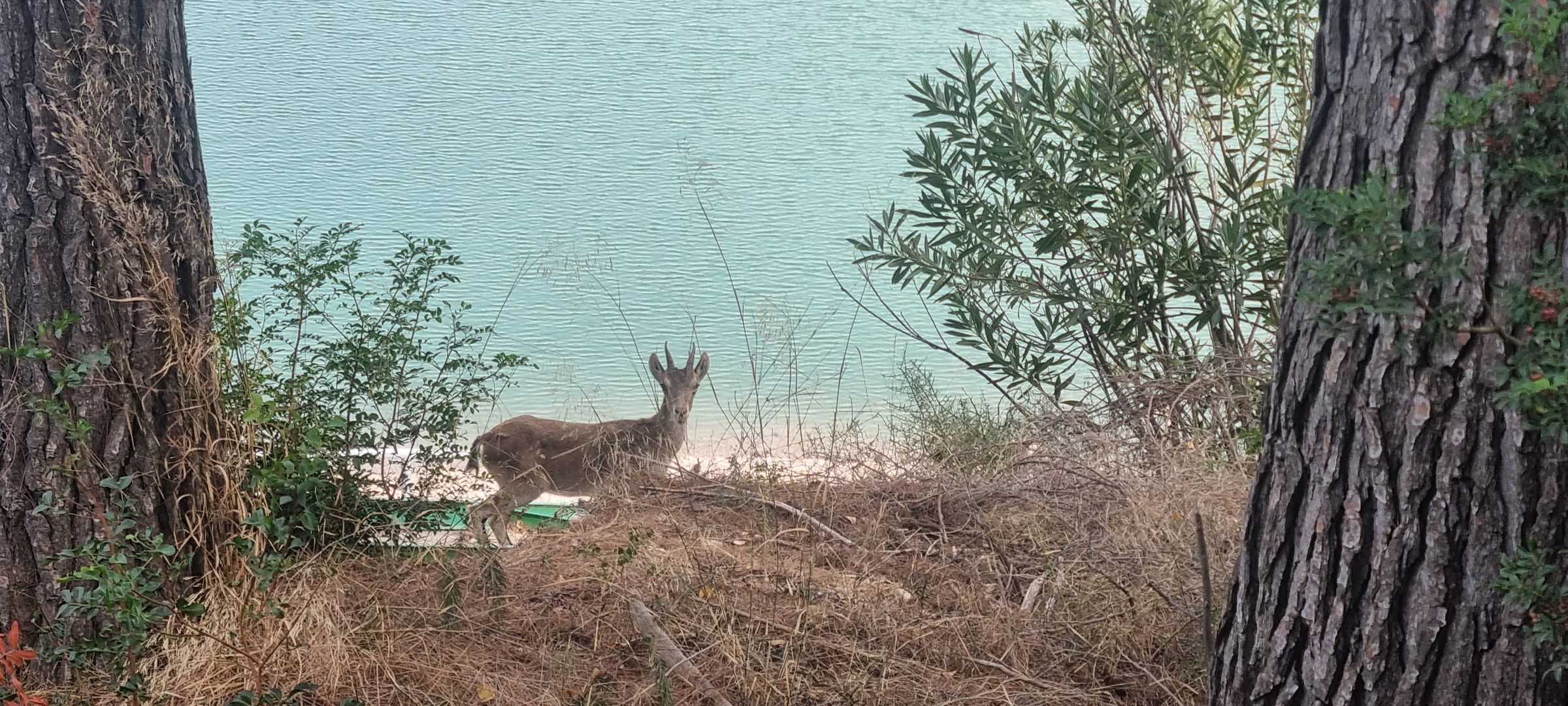 Real Spain Tours and Travel - Spain motorcycle Tours's image